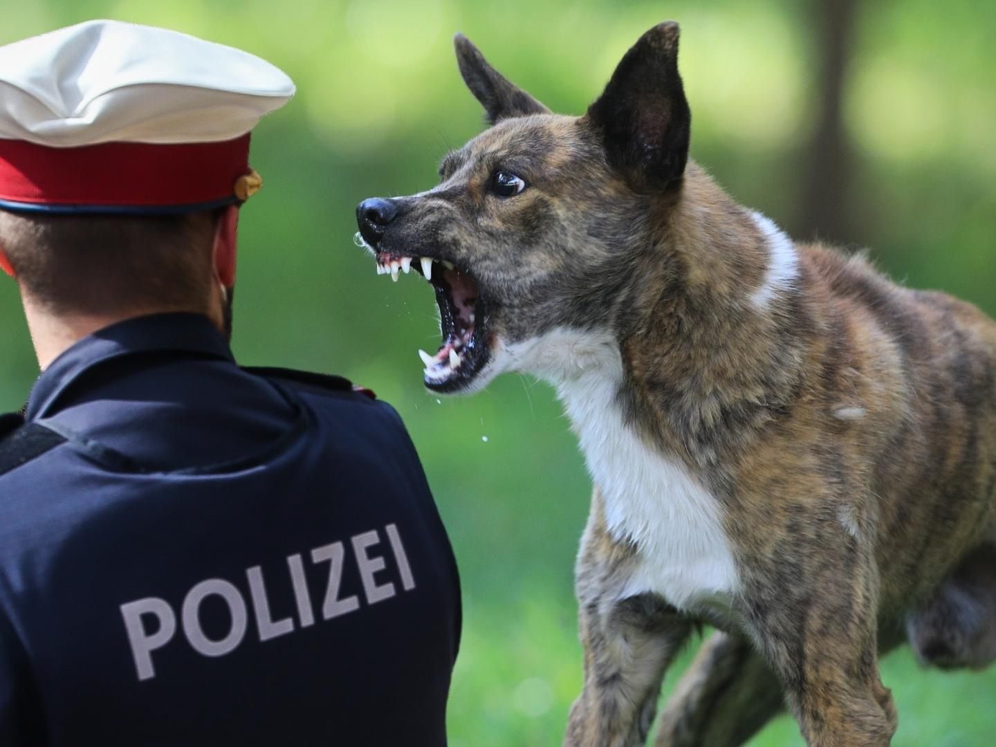Die Polizei sucht nach Zeugen.
