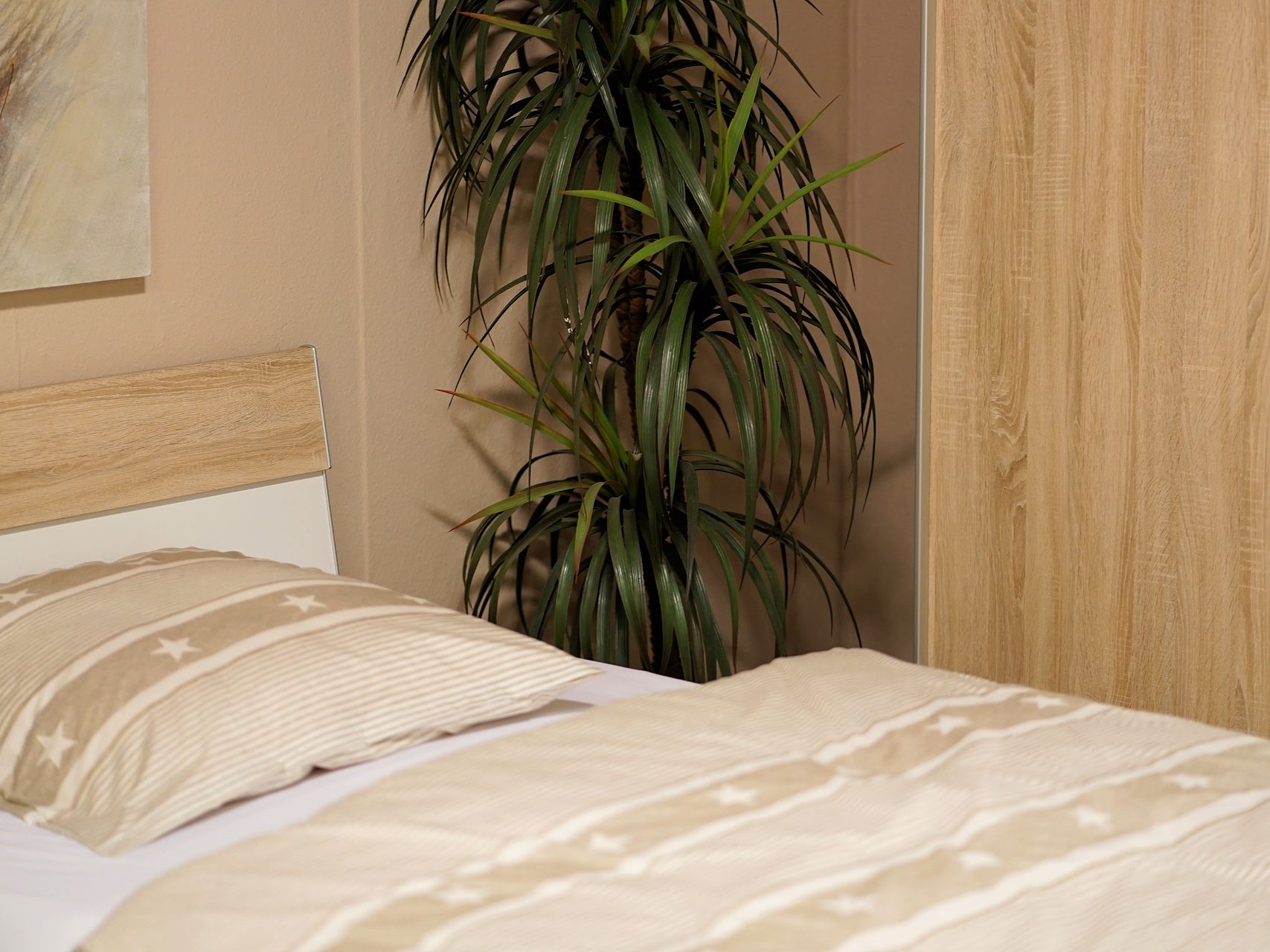 Welche Pflanzen ins Schlafzimmer passen, erfahren Sie hier