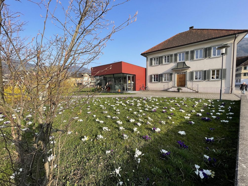 Blumenwiese Hatlerdorf Kirchenbündt