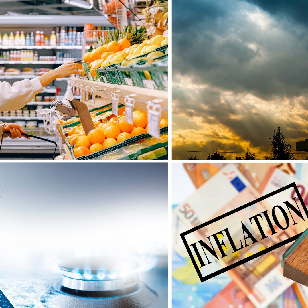 Institute erwarten für heuer weniger als 4 Prozent BIP-Plus