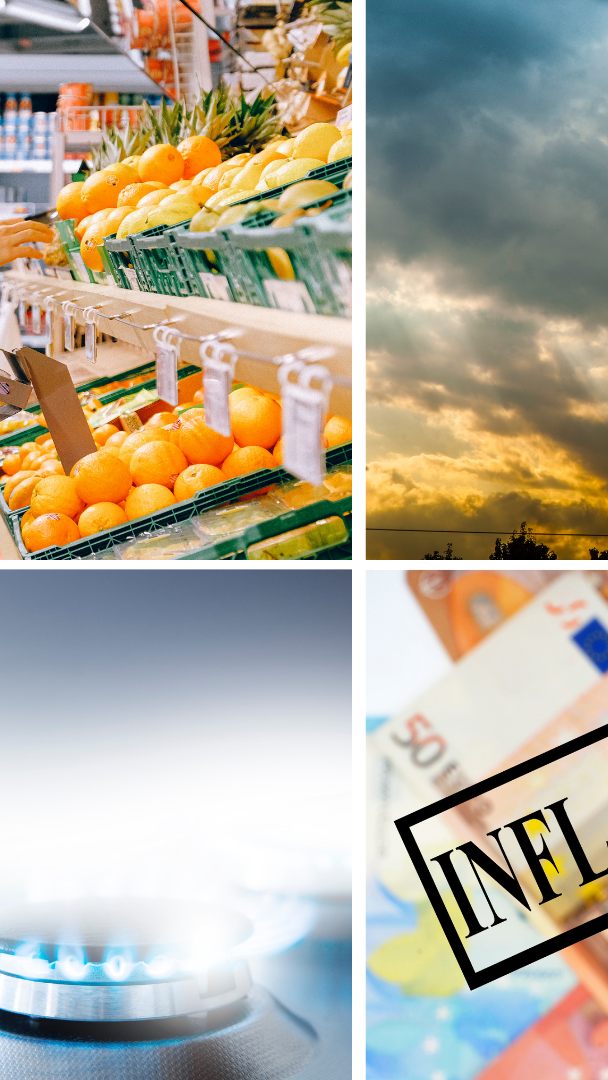 Institute erwarten für heuer weniger als 4 Prozent BIP-Plus