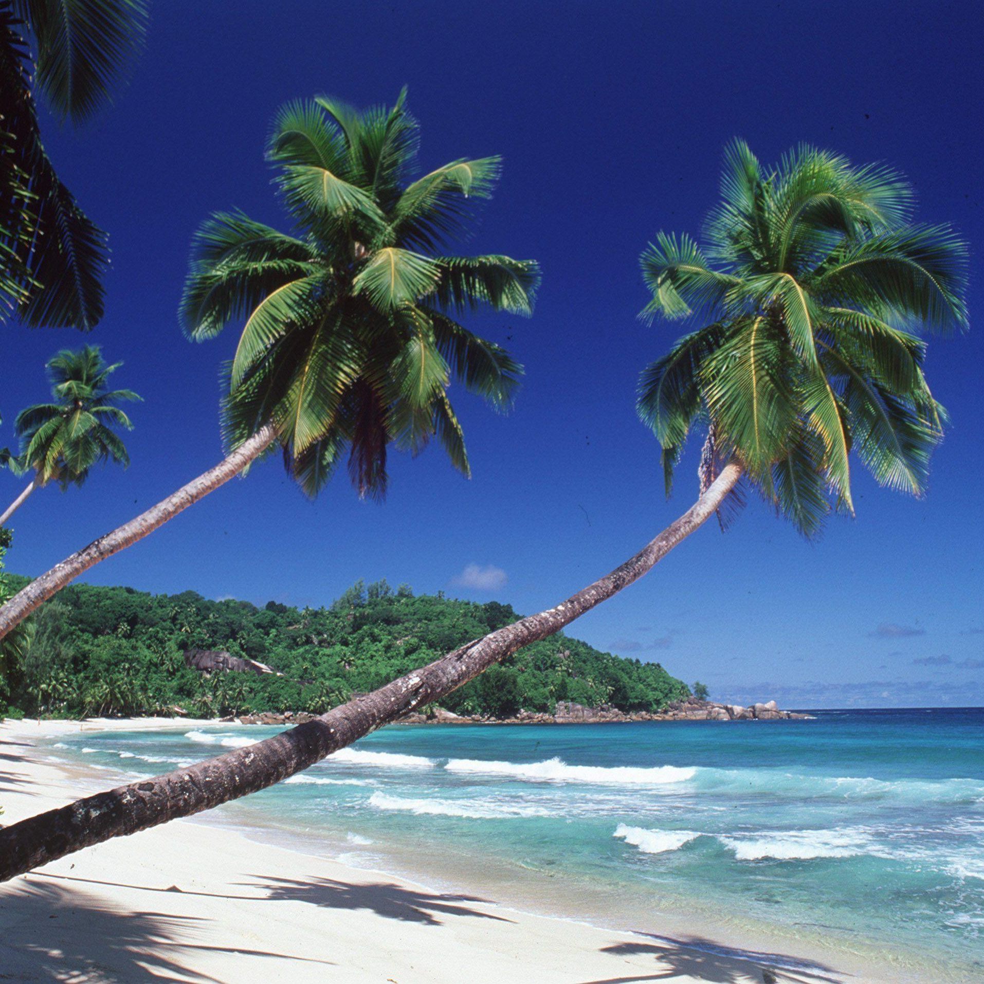 Viele Österreicher zieht es im Sommer ans Meer. Aber wer bezahlt die Reisekosten bei einer Corona-Infektion?