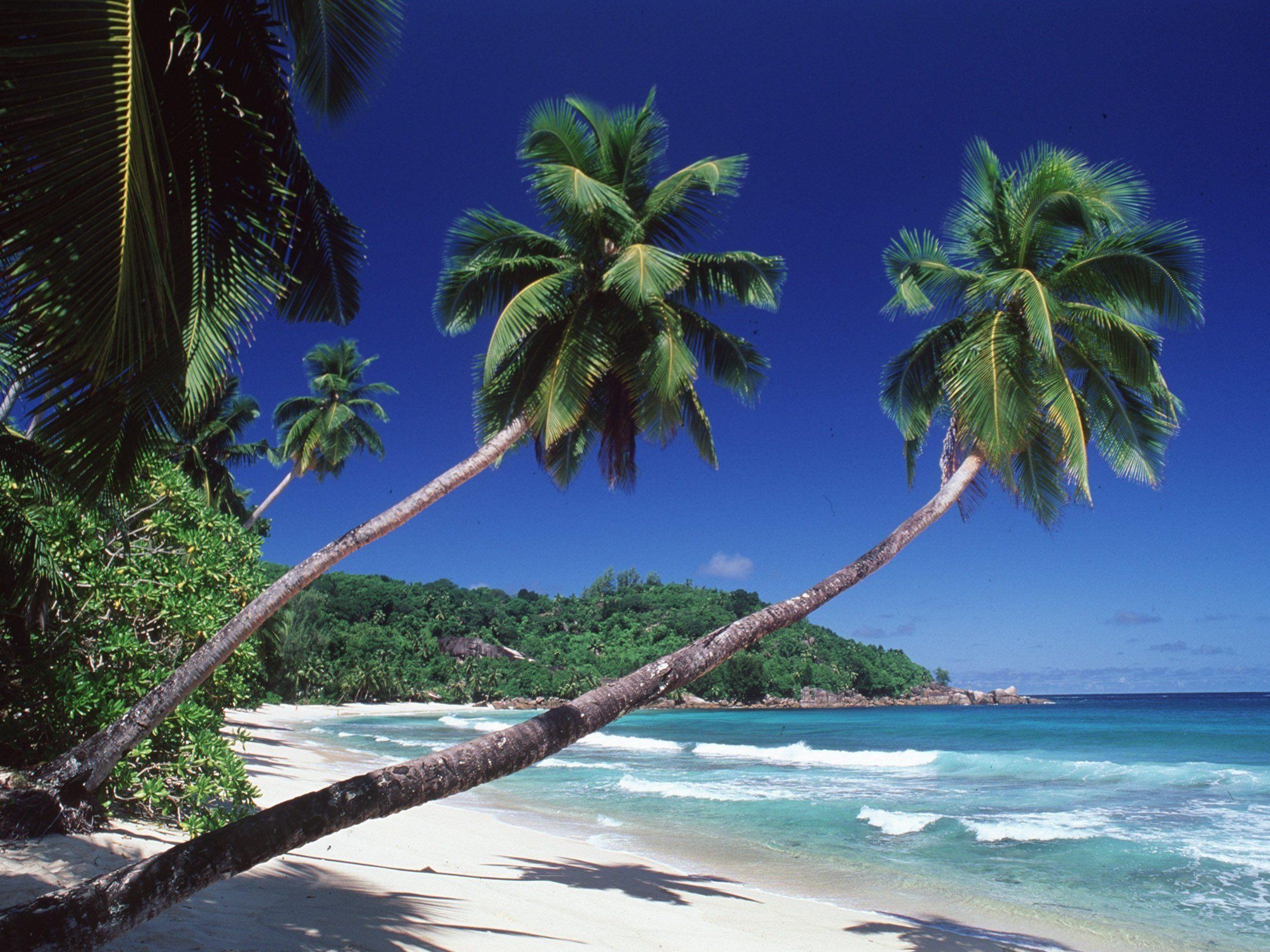 Viele Österreicher zieht es im Sommer ans Meer. Aber wer bezahlt die Reisekosten bei einer Corona-Infektion? Viele Österreicher zieht es im Sommer ans Meer. Aber wer bezahlt die Reisekosten bei einer Corona-Infektion?