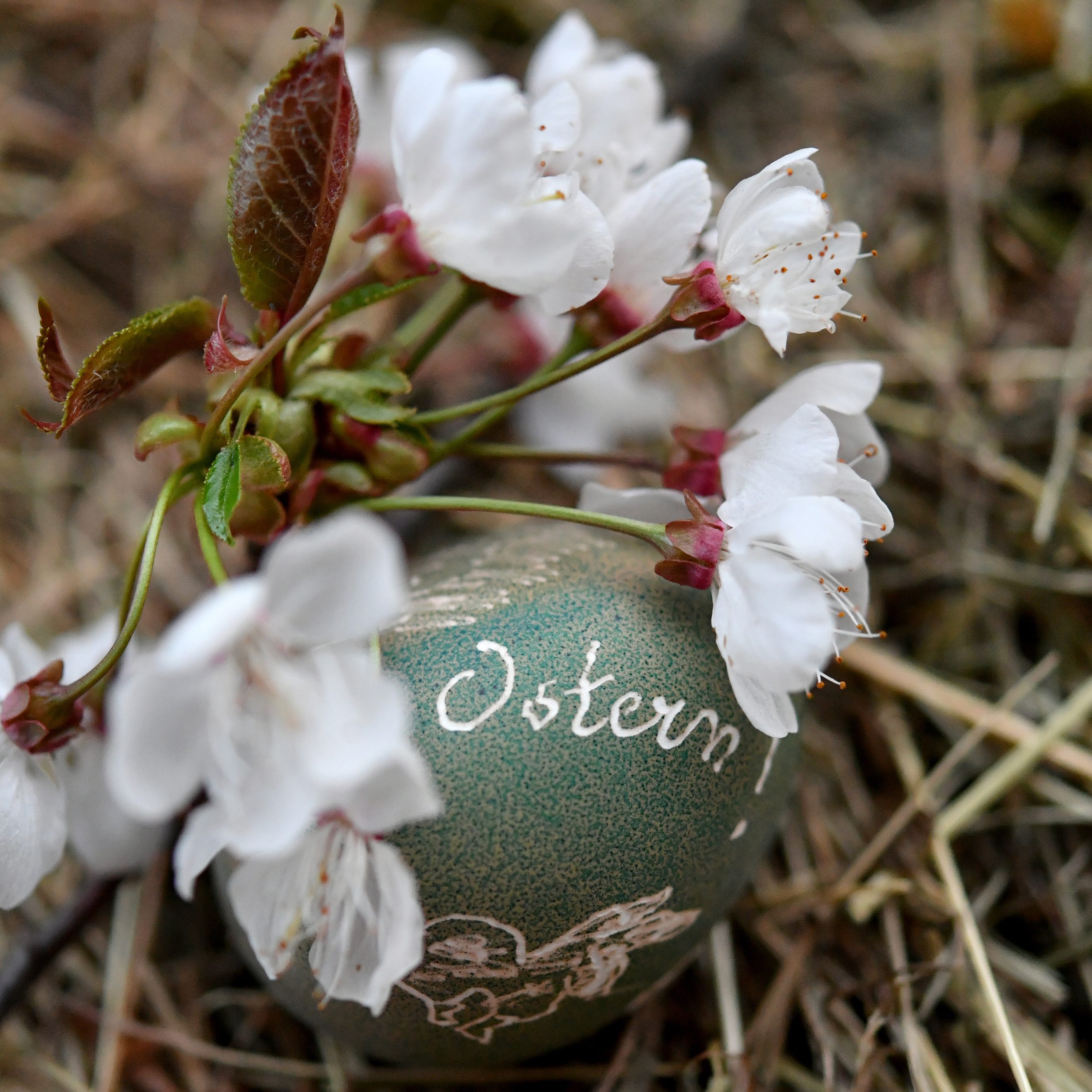 Ostern: Österreicher wollen 50 Euro für Geschenke ausgeben.