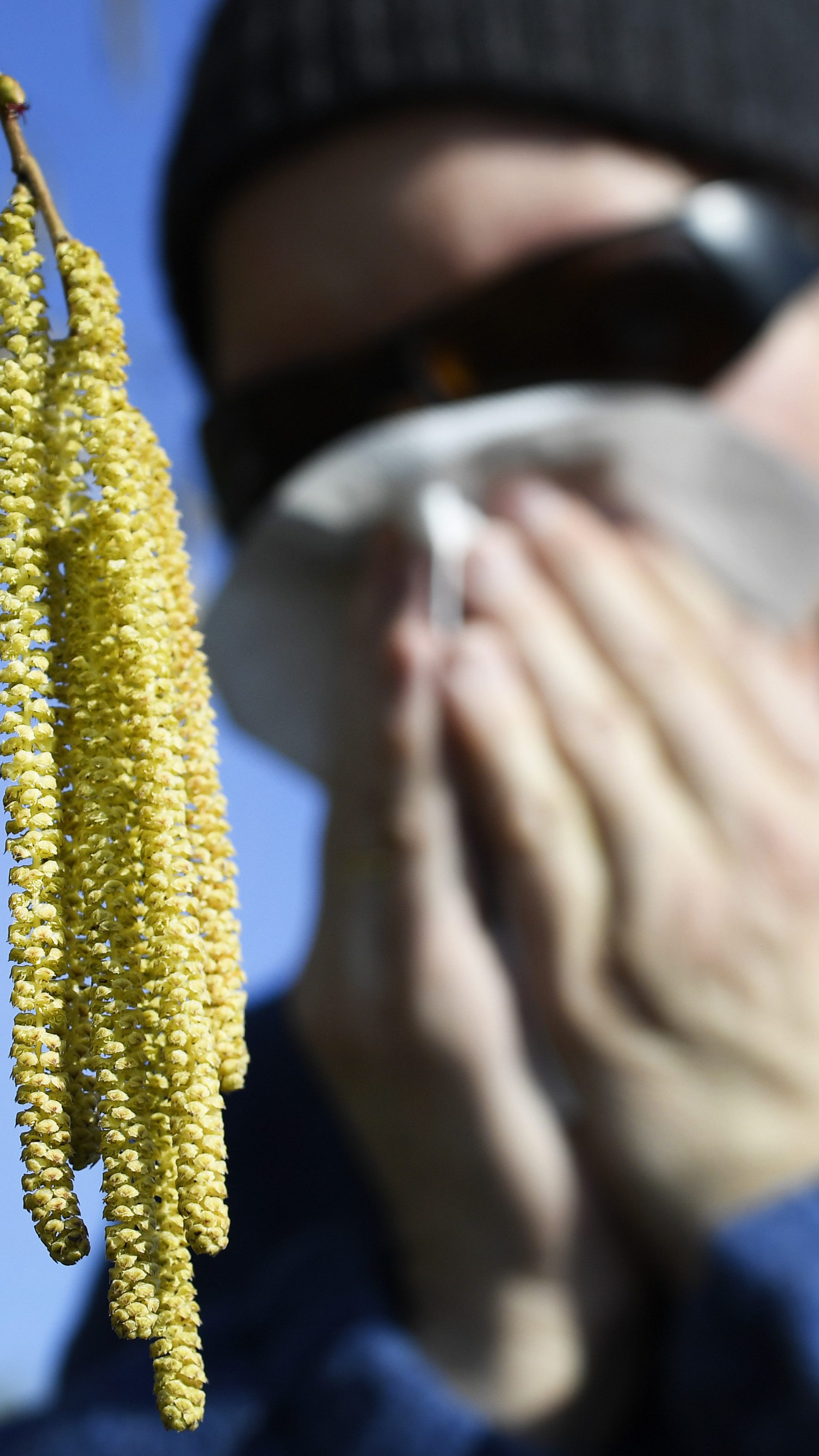 Wer eine Pollenallergie hat, leidet heuer besonders