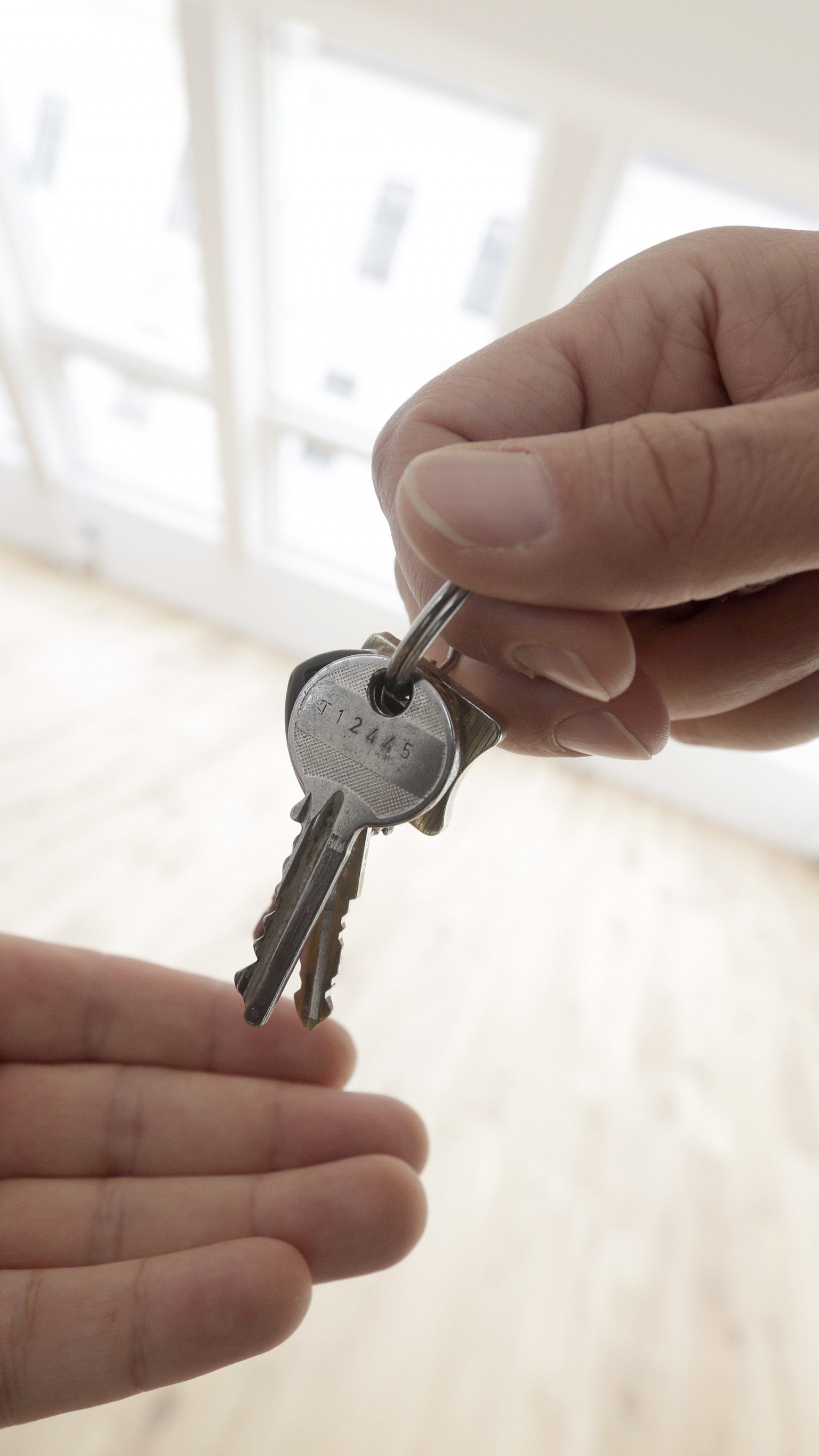 Wohnungspreise in Österreichs Bundesländern: Wo reihte sich Wien ein?