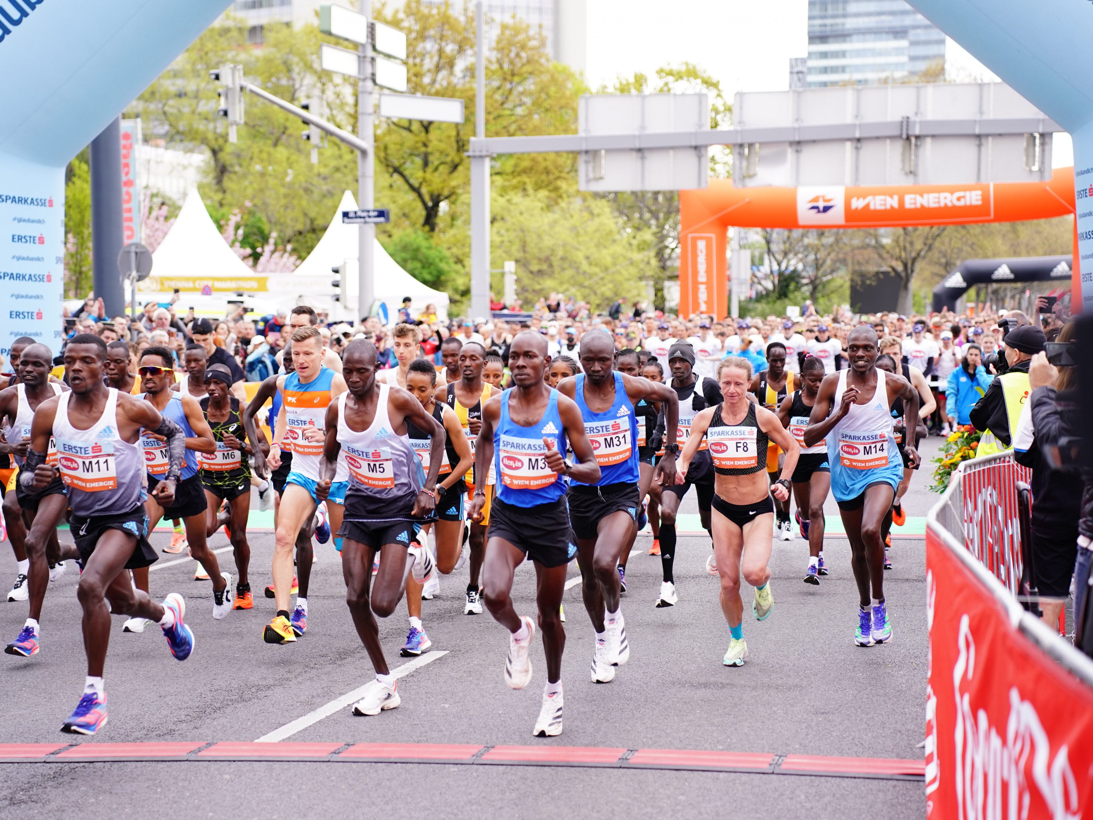 Der Wien-Marathon möchte Klimaneutralität erreichen. Der Wien-Marathon möchte Klimaneutralität erreichen.