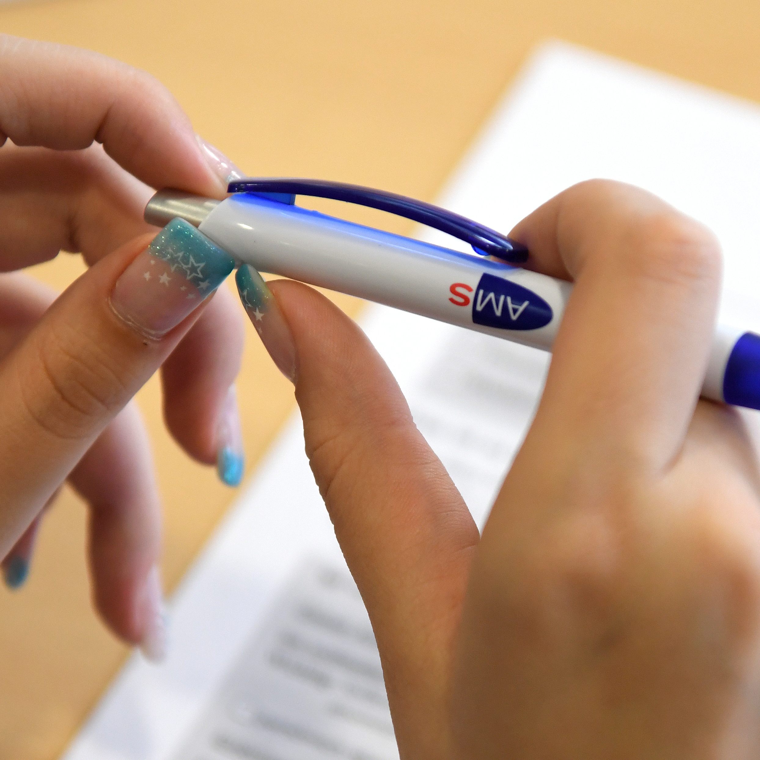 155 Beschäftigungsbewilligungen von ukrainischen Flüchtlingen durch das AMS gab es bereits in Österreich.