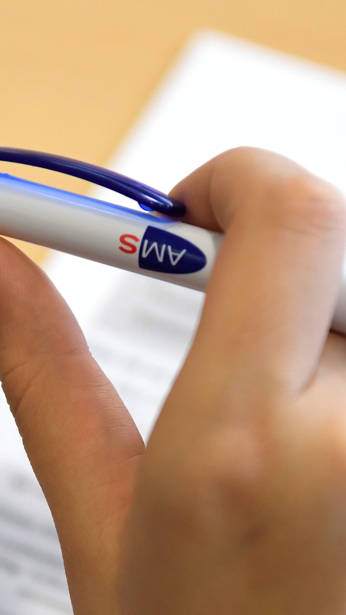 155 Beschäftigungsbewilligungen von ukrainischen Flüchtlingen durch das AMS gab es bereits in Österreich.