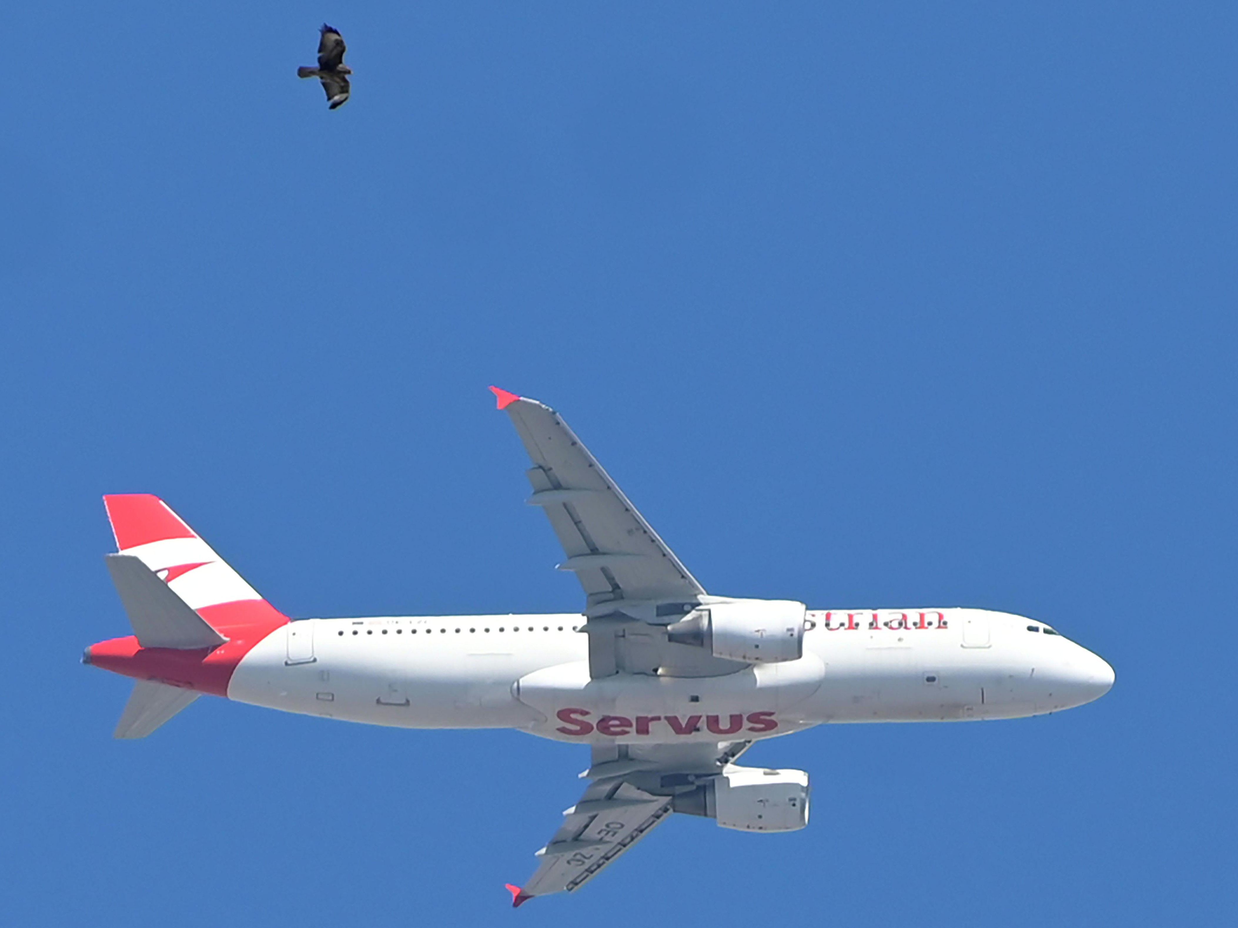 Ein AUA-Flug von Wien nach Lyon meldete technische Probleme. Ein AUA-Flug von Wien nach Lyon meldete technische Probleme.