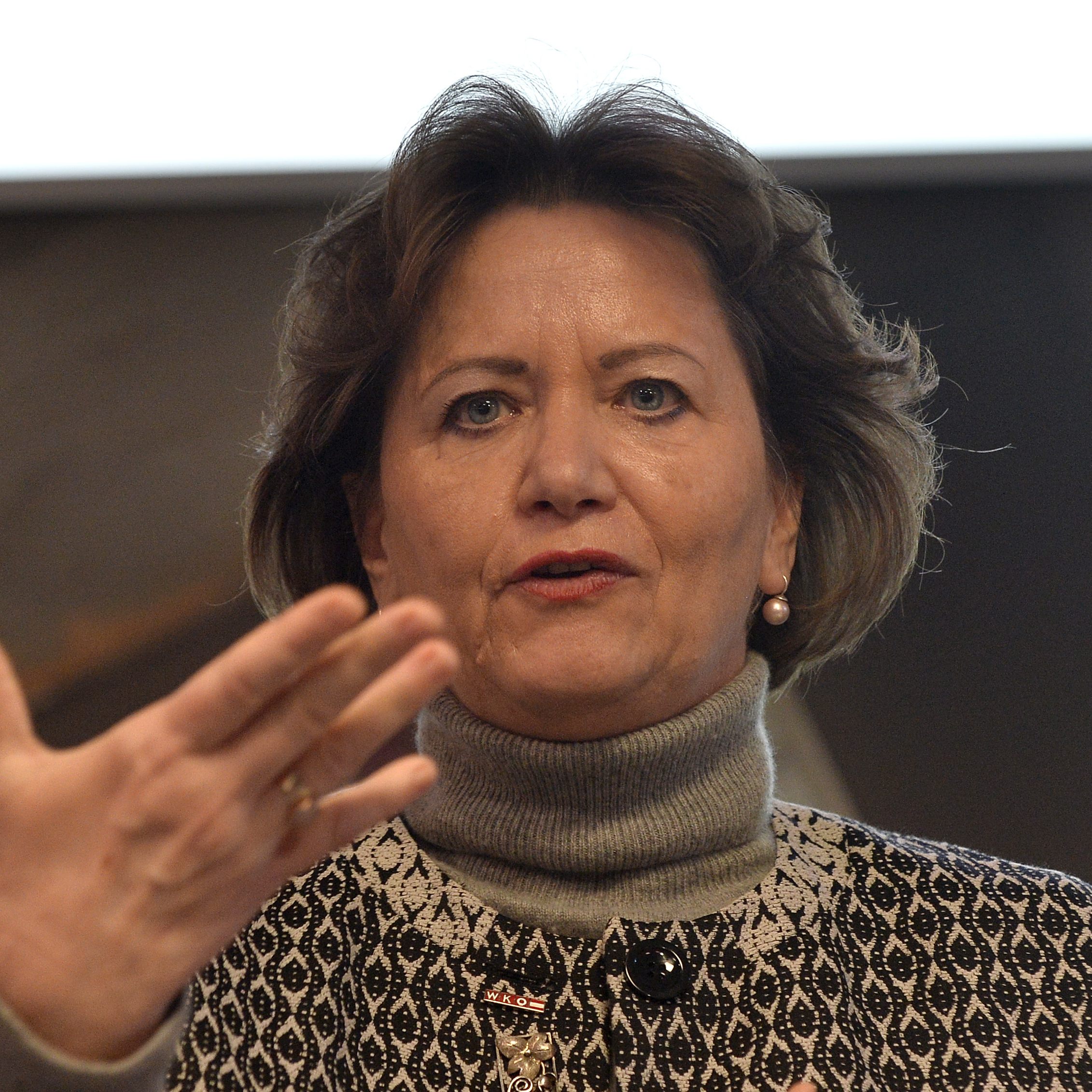 Die Spartenobfrau Gewerbe und Handwerk ortet eine "volle Schüssel".