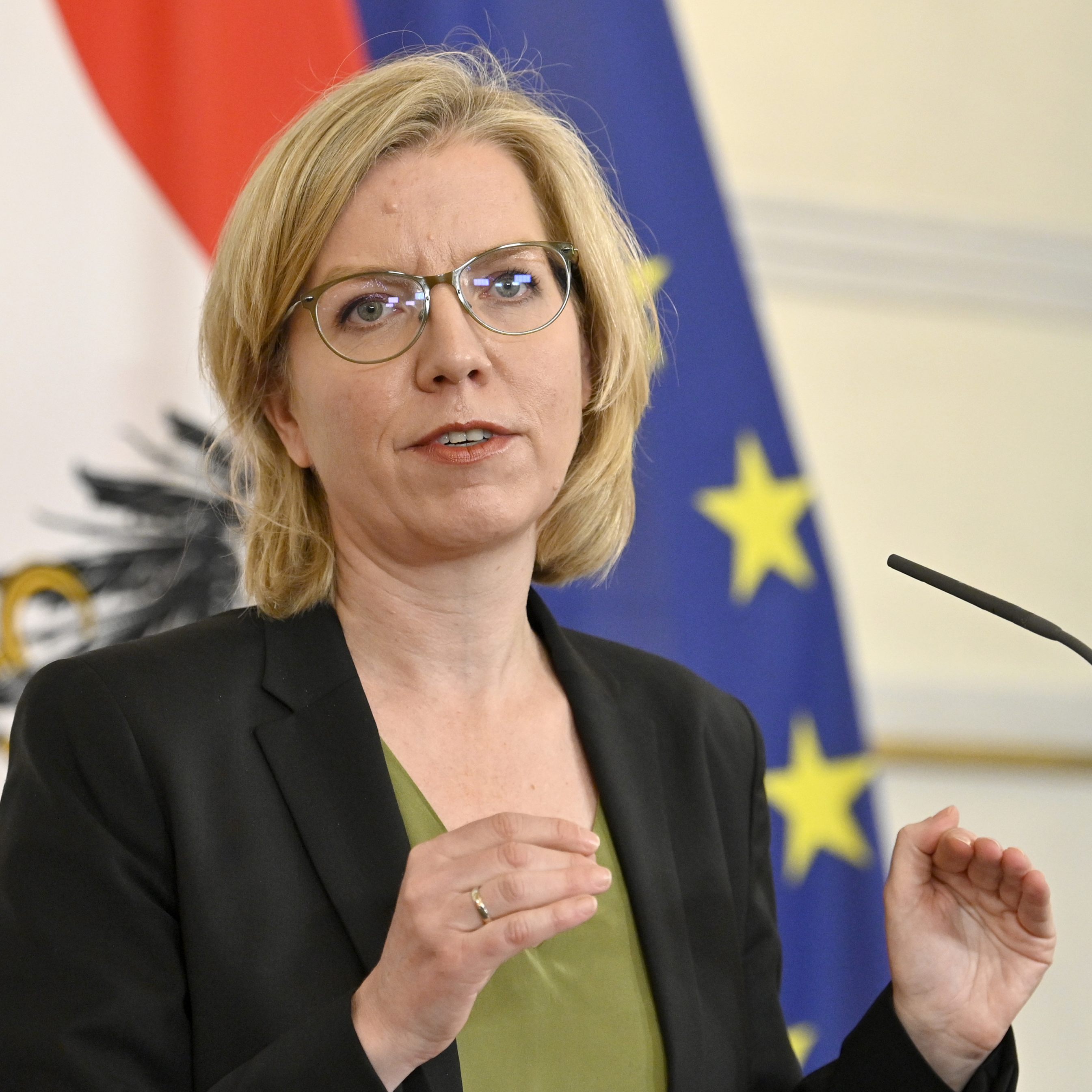 Im Rahmen des Streits um den Bau des Wiener Lobautunnels sei laut Jurist Mayer eine Klage gegen Umweltministerin Leonore Gewessler (Grüne) möglich.