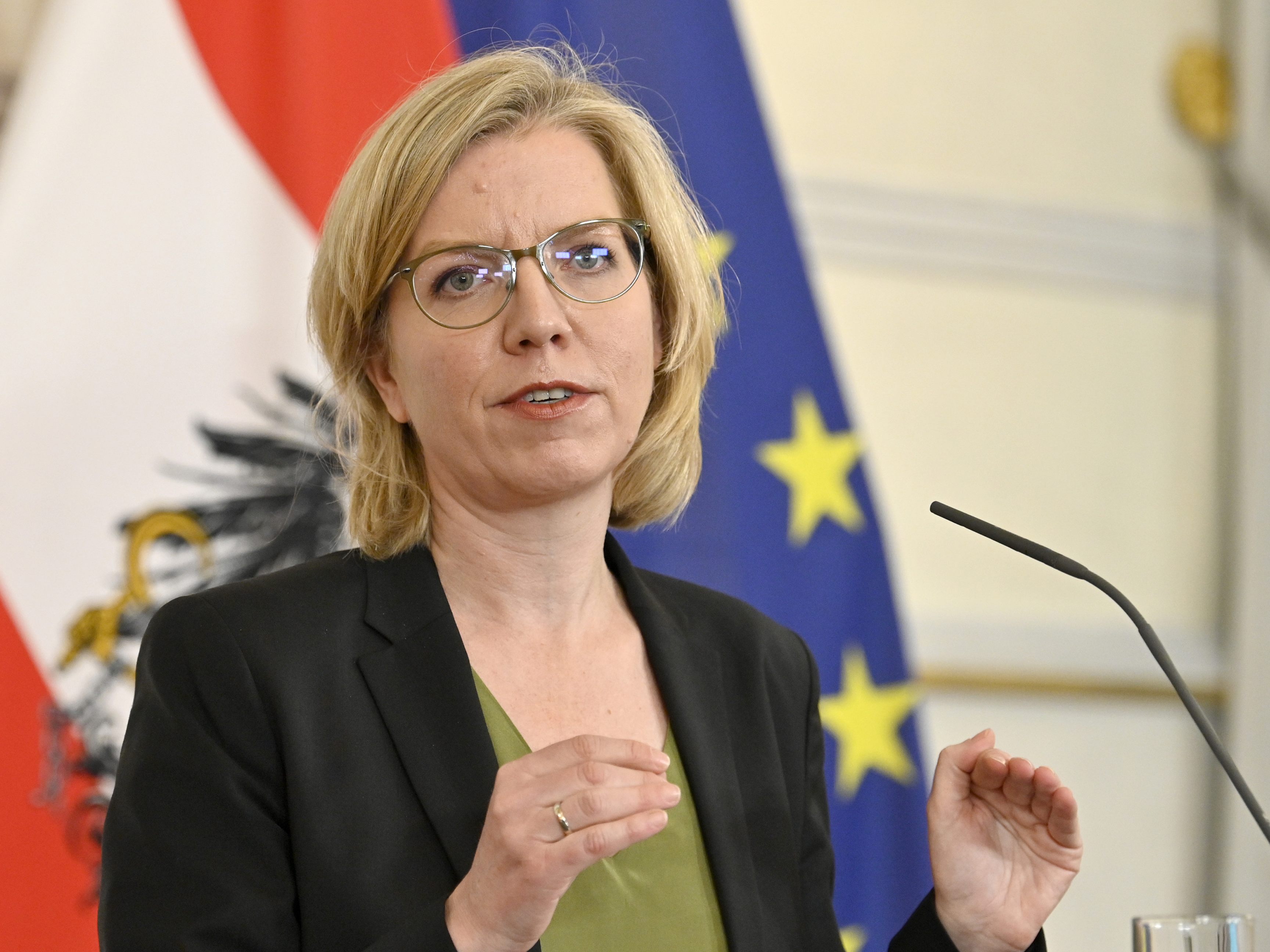 Im Rahmen des Streits um den Bau des Wiener Lobautunnels sei laut Jurist Mayer eine Klage gegen Umweltministerin Leonore Gewessler (Grüne) möglich.