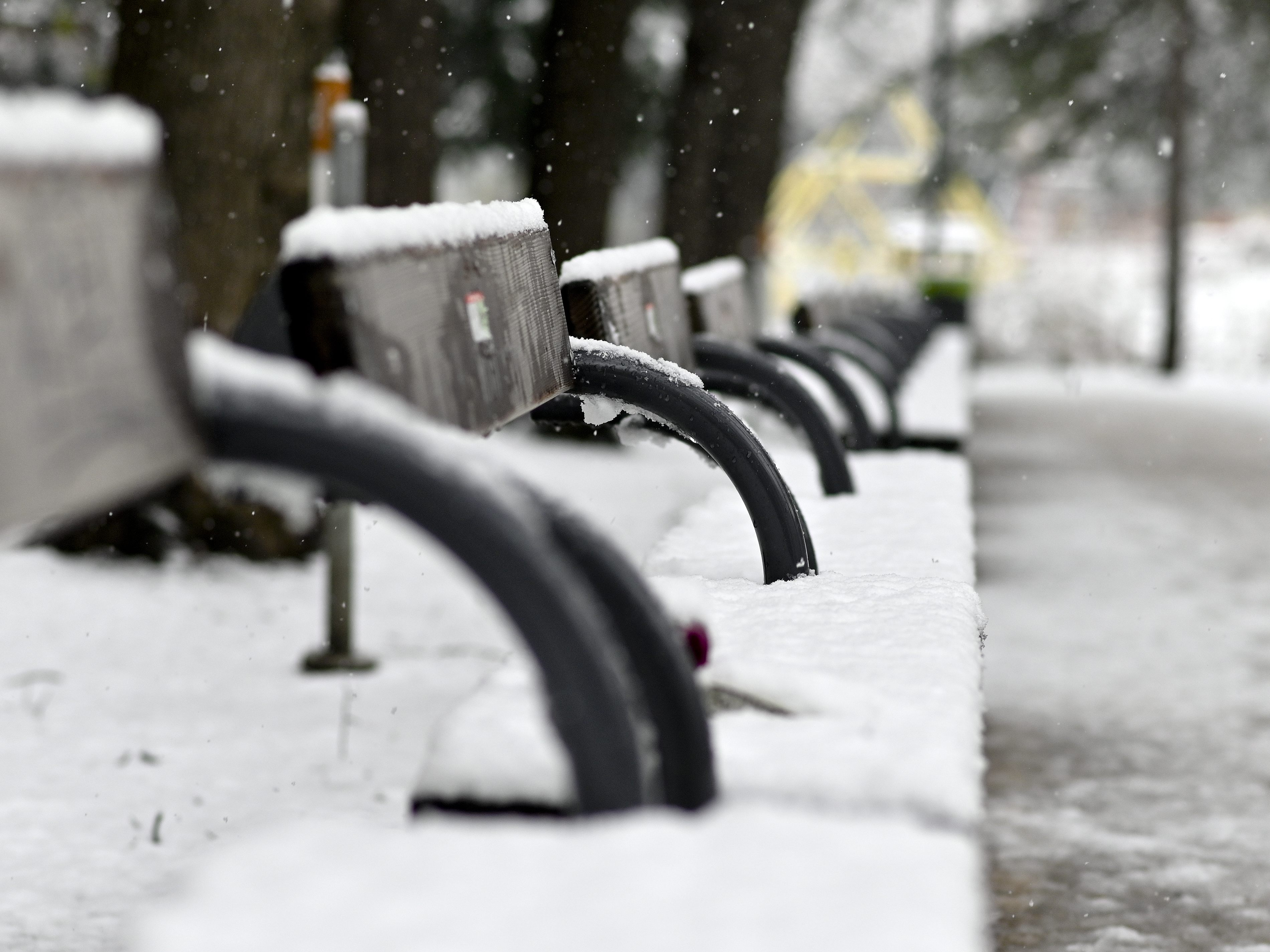 Bis zu 39 Zentimeter Neuschnee in Österreich.