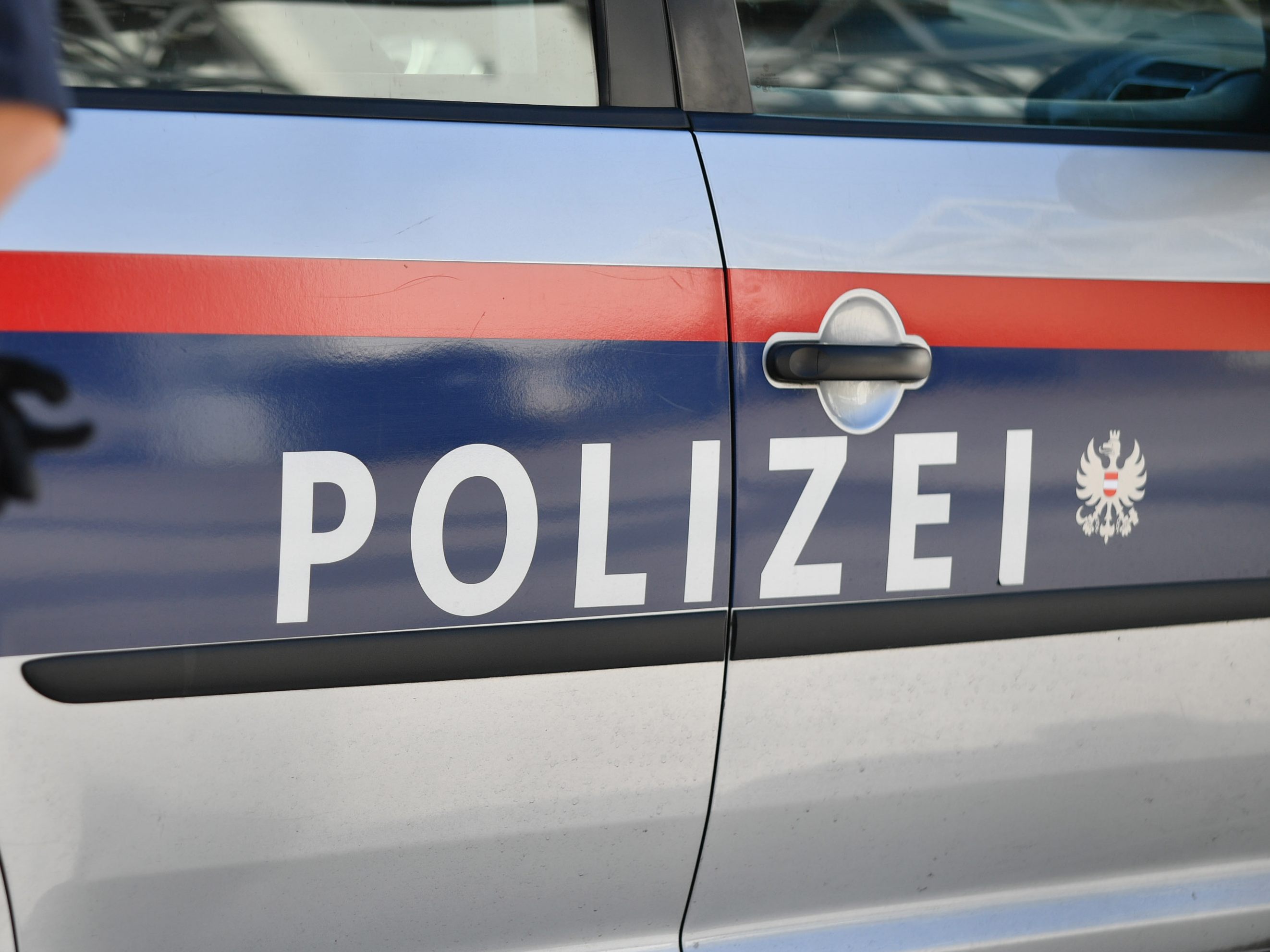 Die Polizei ermittelt gegen ein Pärchen, dass Kunstwerke und Schmuck von Niederösterreicherin gestohlen haben soll. Die Polizei ermittelt gegen ein Pärchen, dass Kunstwerke und Schmuck von Niederösterreicherin gestohlen haben soll.