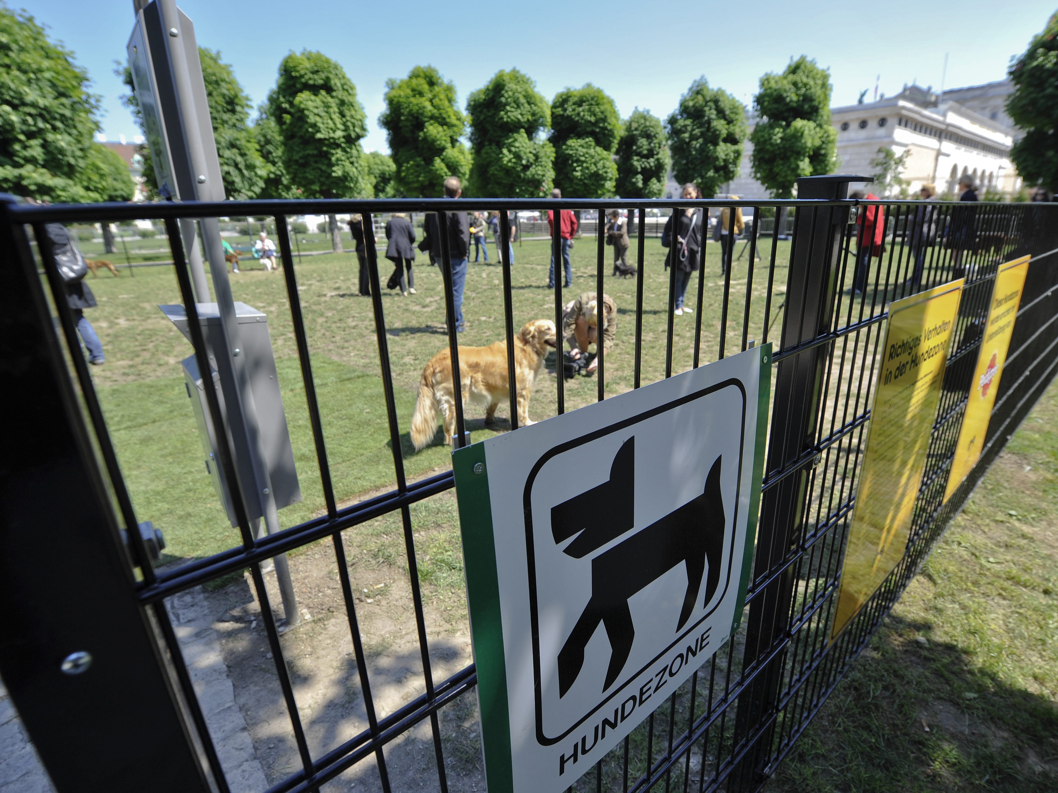 Streit um lautes Gebell: Polizeieinsatz in Wiener Hundezone. Streit um lautes Gebell: Polizeieinsatz in Wiener Hundezone.