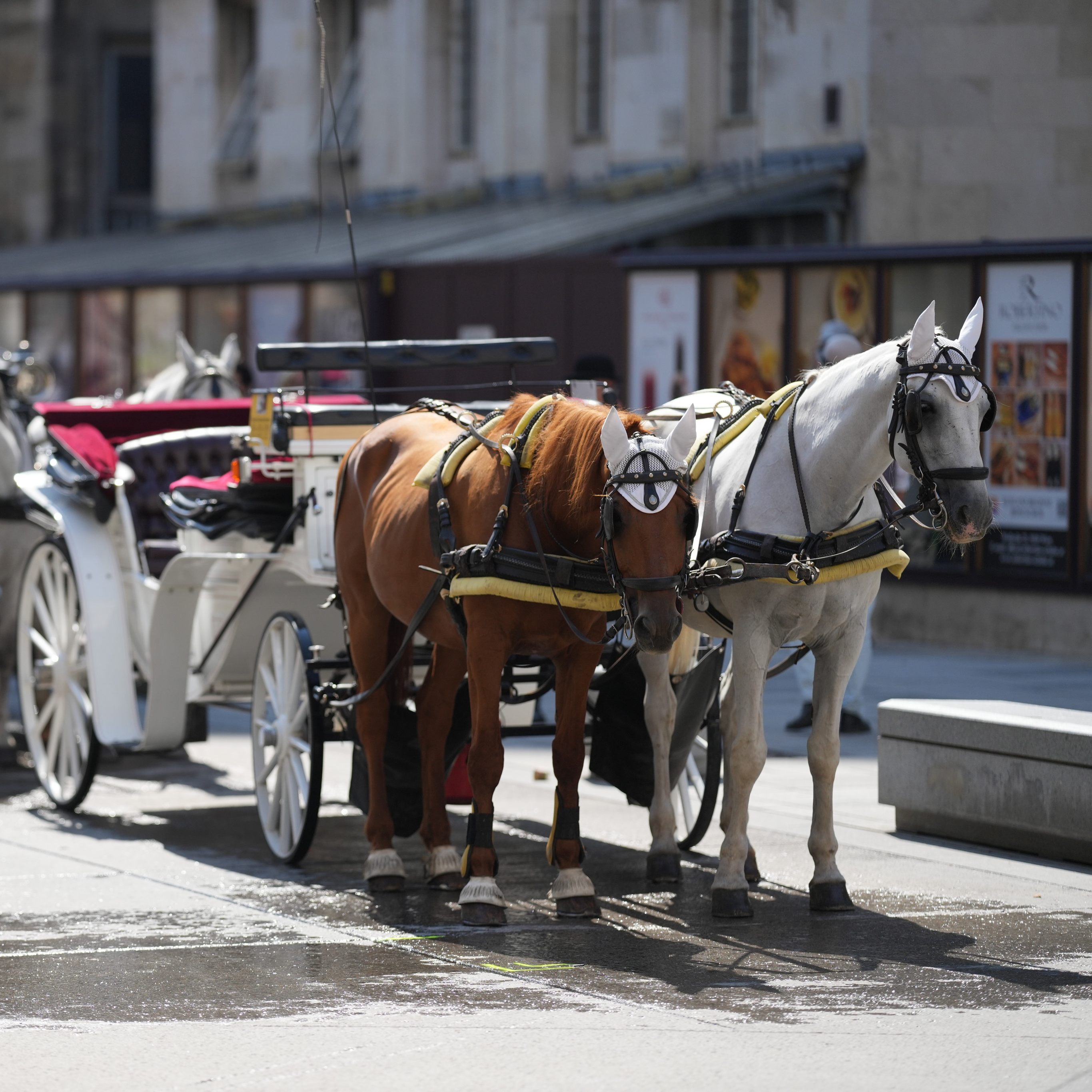 Wiens Fiaker hat der Einbruch der Tourismusbranche hart getroffen.