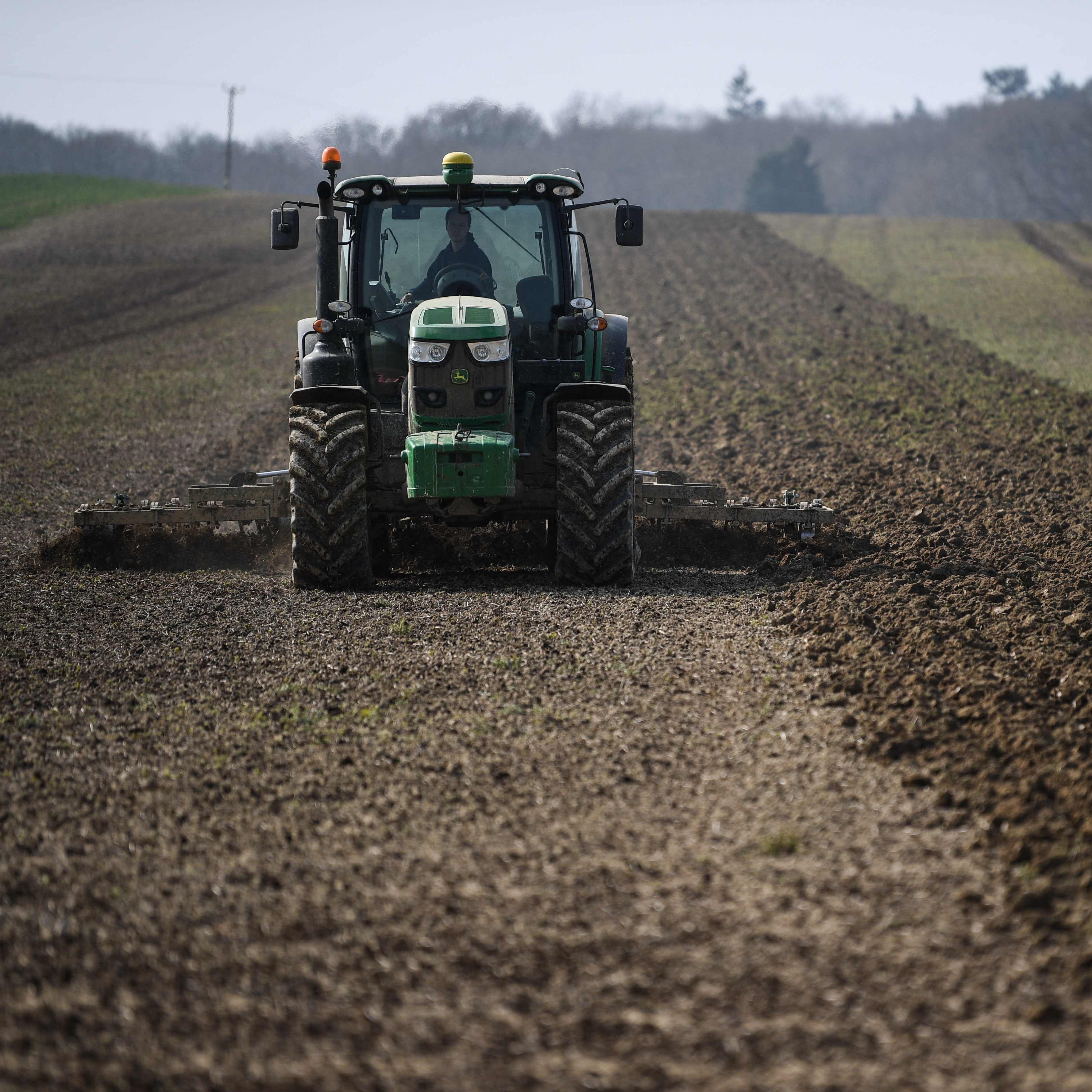 Die Schwarzarbeit in Österreichs Landwirtschaft ist gestiegen.
