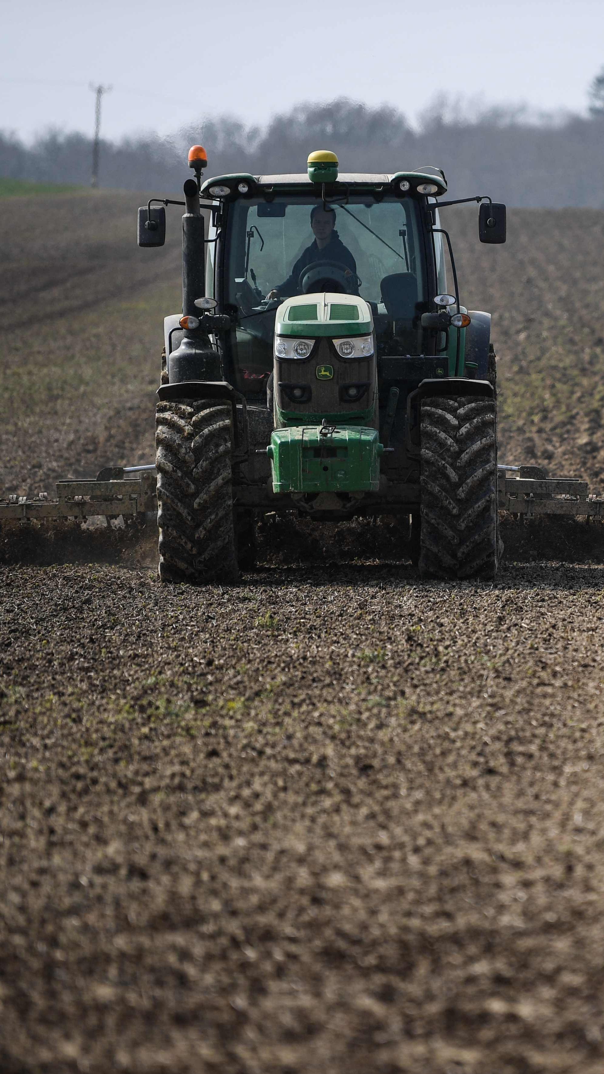 Die Schwarzarbeit in Österreichs Landwirtschaft ist gestiegen.