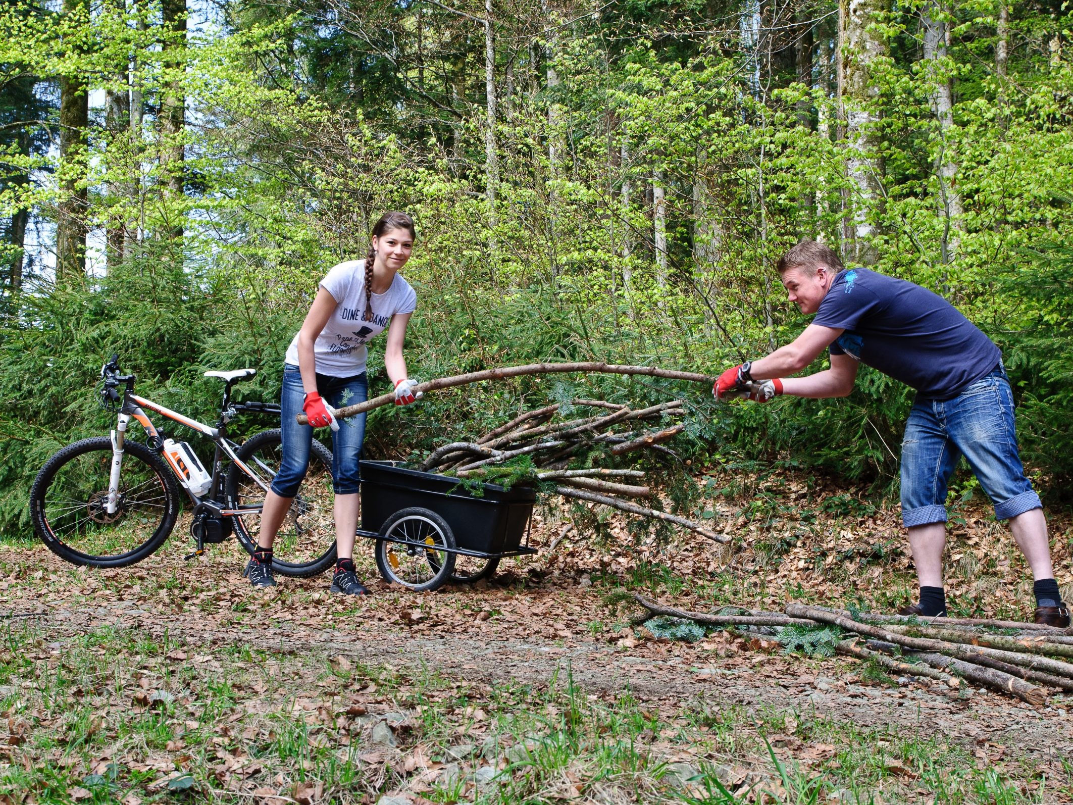 Brennholzsuchende können im Rahmen der Aktion Waldstücke von Ästen und Restholz aufräumen. Brennholzsuchende können im Rahmen der Aktion Waldstücke von Ästen und Restholz aufräumen.