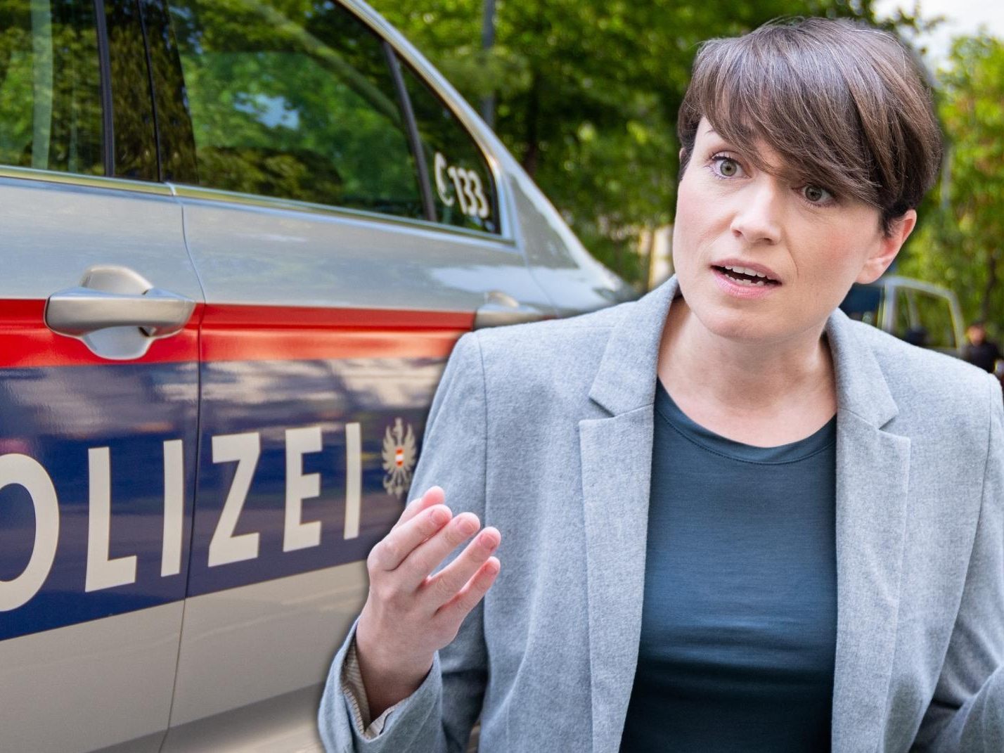 Der 26-Jährige wurde auf freiem Fuß angezeigt. Der 26-Jährige wurde auf freiem Fuß angezeigt.