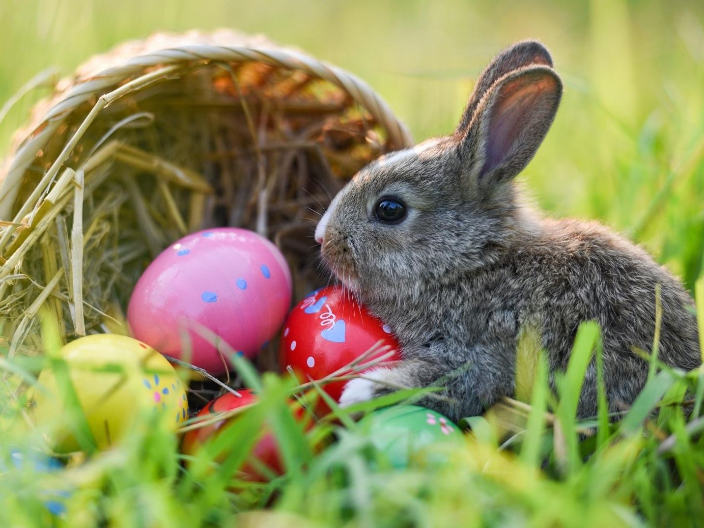 Das Osterfest wird kühl.