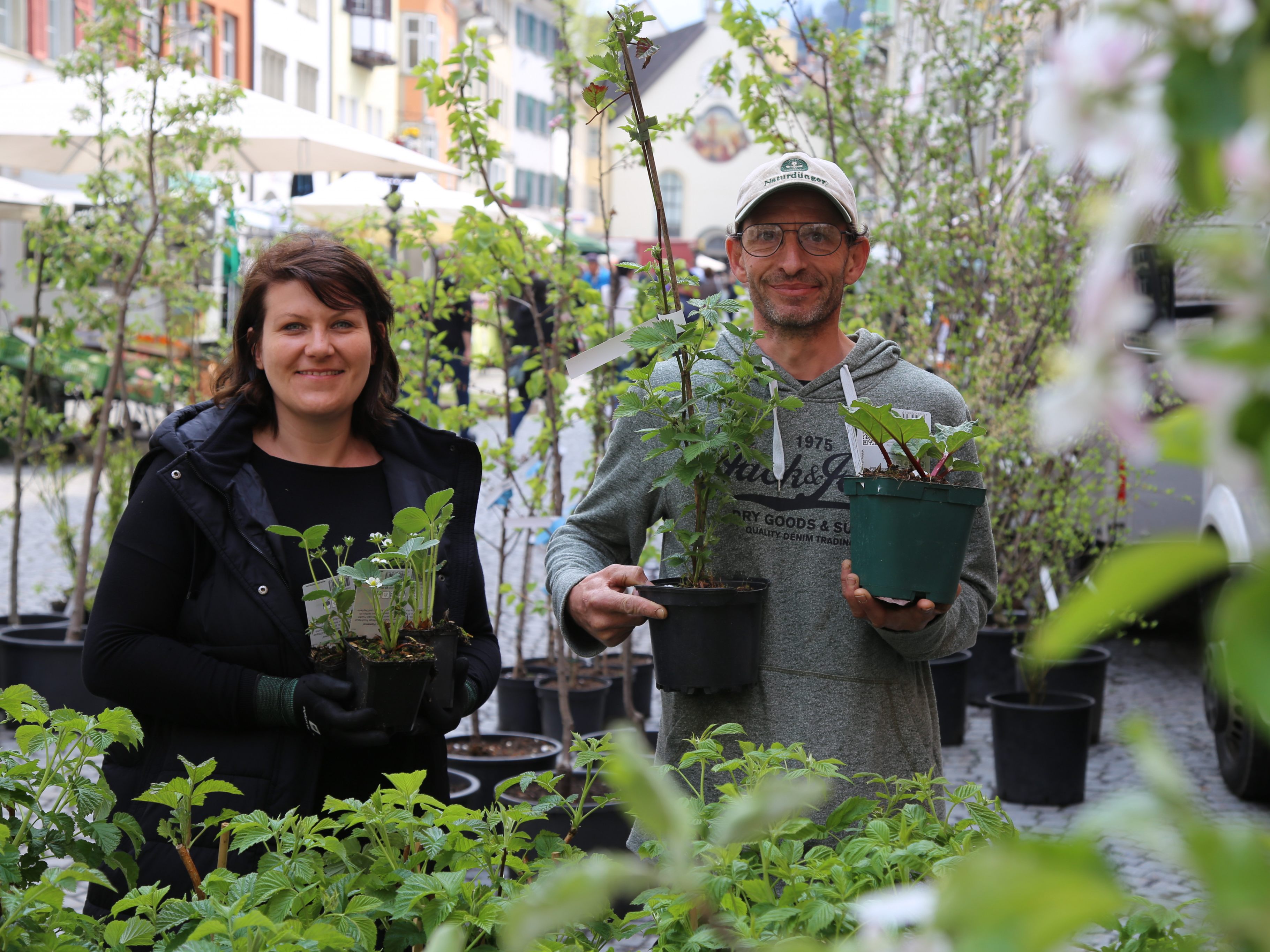 Traditioneller Obstbaum-Markt am Karfreitag in der Innenstadt.