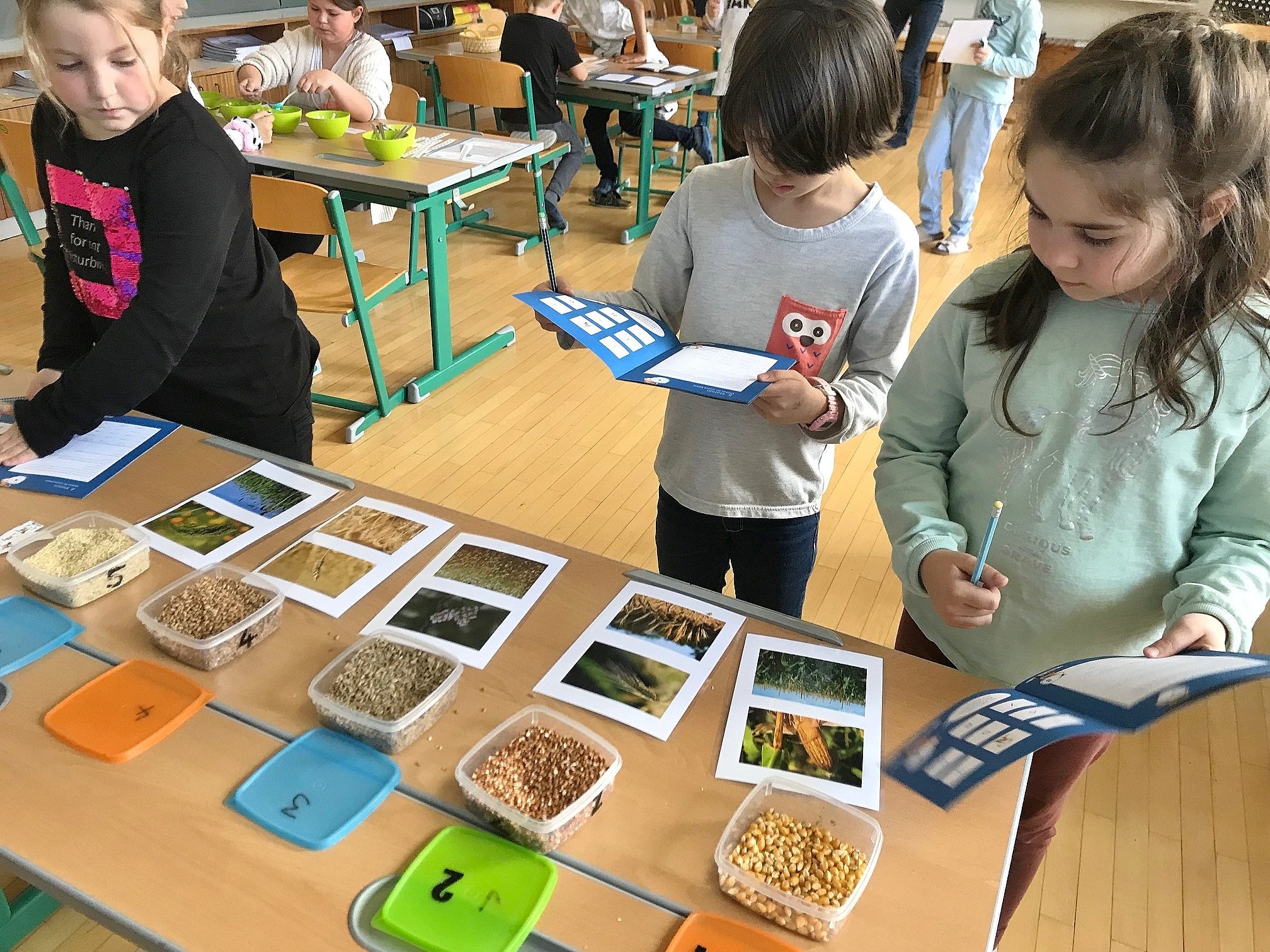 Die kleinen Genuss-Detektive von der VS Leopold hatten eine Menge Spaß beim Ernährungsquiz.
