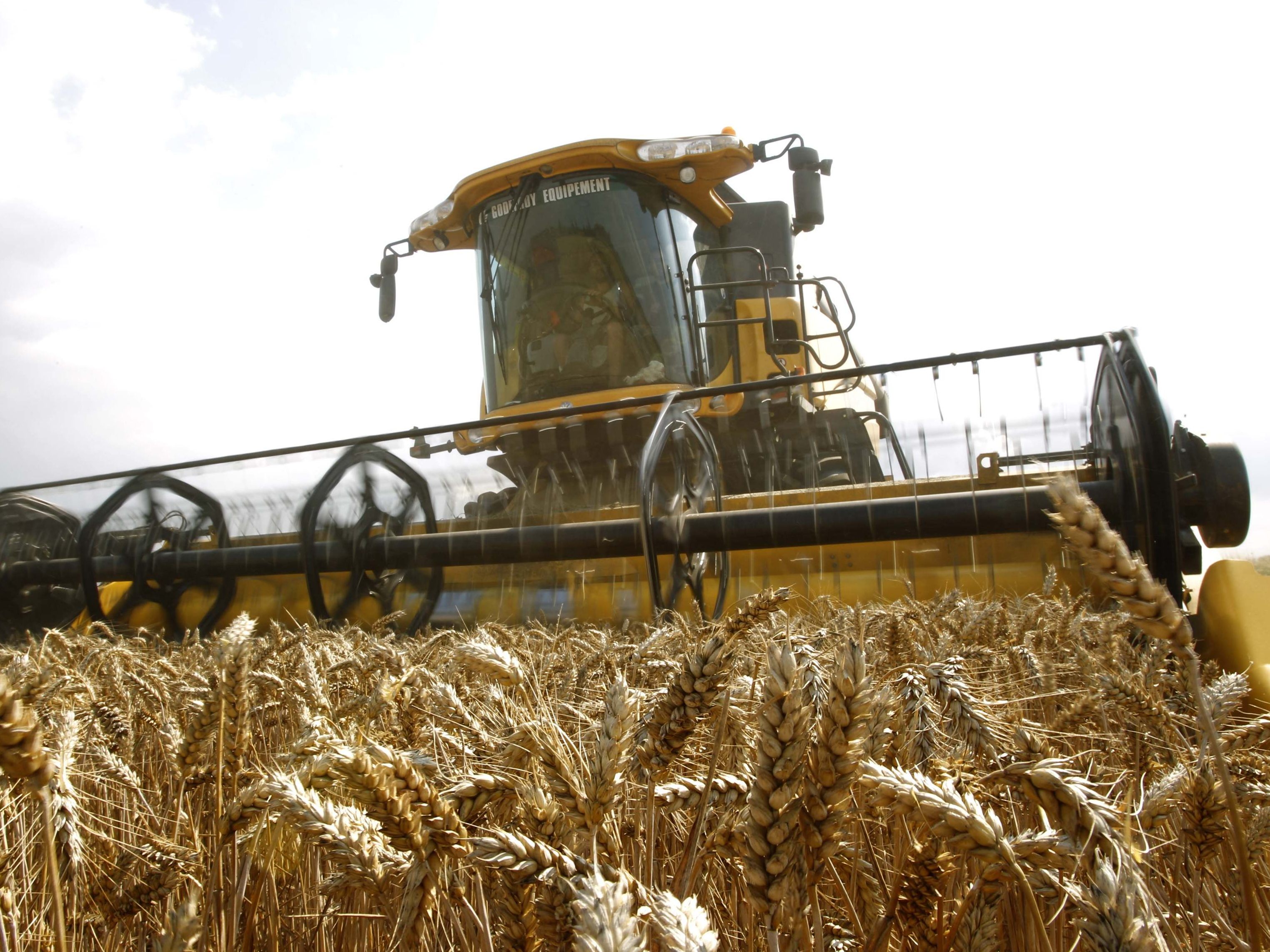 Russland plant seine Agrarexporte auf "befreundete" Staaten zu begrenzen.