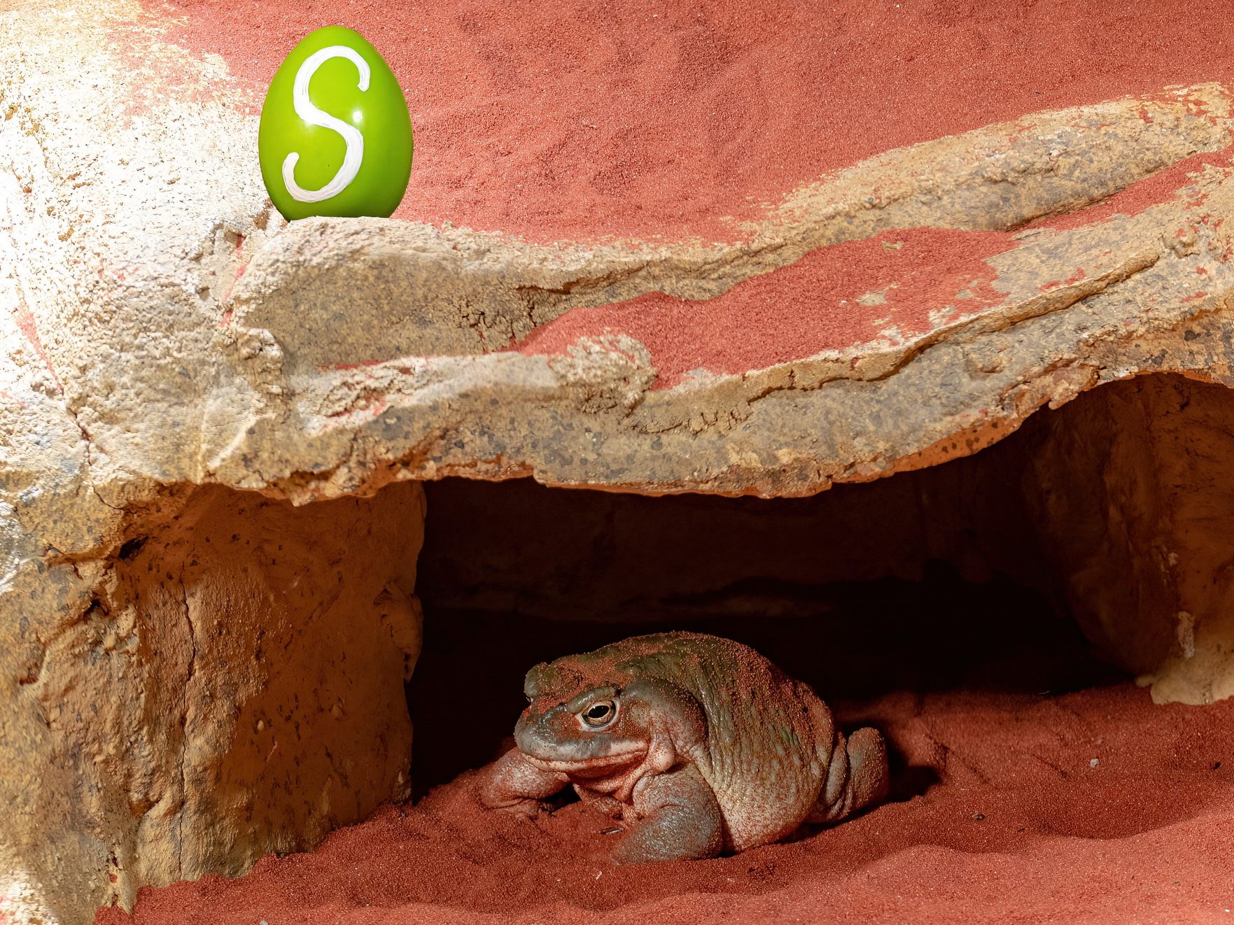 Im Haus des Meeres wurden Ostereier versteckt - wer sie entdeckt, kann allerhand gewinnen Im Haus des Meeres wurden Ostereier versteckt - wer sie entdeckt, kann allerhand gewinnen