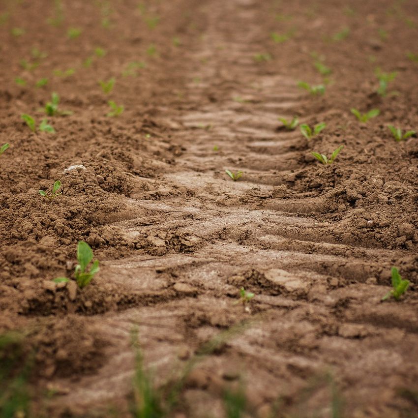 Kiew: Frühjahrsaussaat fast überall im Land begonnen.