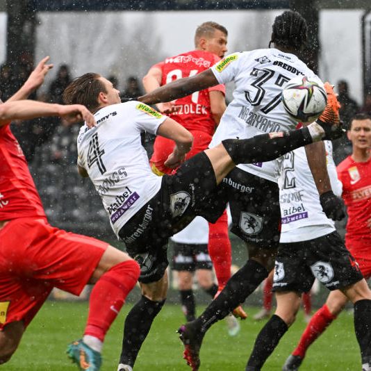 Strauß mit dem Ausgleich