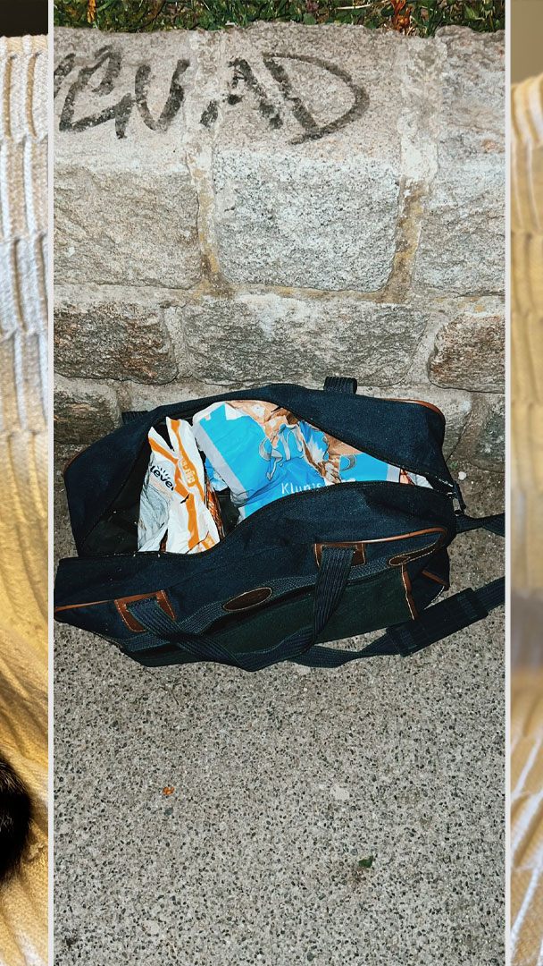 Diese beiden kleinen Katzen wurden in Wien-Ottakring einfach ausgesetzt und sich selbst überlassen