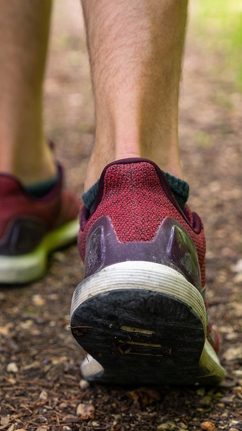 Fitter durch Joggen? Auch Spazieren und Gehen hilft beim Fit werden.