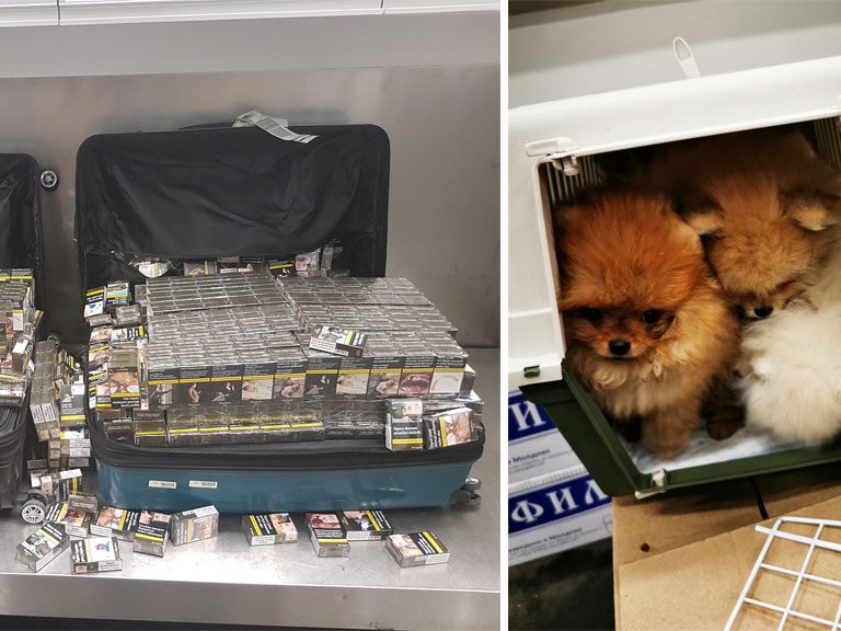 Von kofferweise Zigaretten bis hin zu Hunden: 2021 gelangen beim Zoll in Schwechat wieder mehr Aufgriffe von Schmuggelware Von kofferweise Zigaretten bis hin zu Hunden: 2021 gelangen beim Zoll in Schwechat wieder mehr Aufgriffe von Schmuggelware