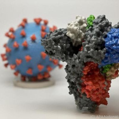 6.001 Menschen hat das Coronavirus in 24 Stunden infiziert