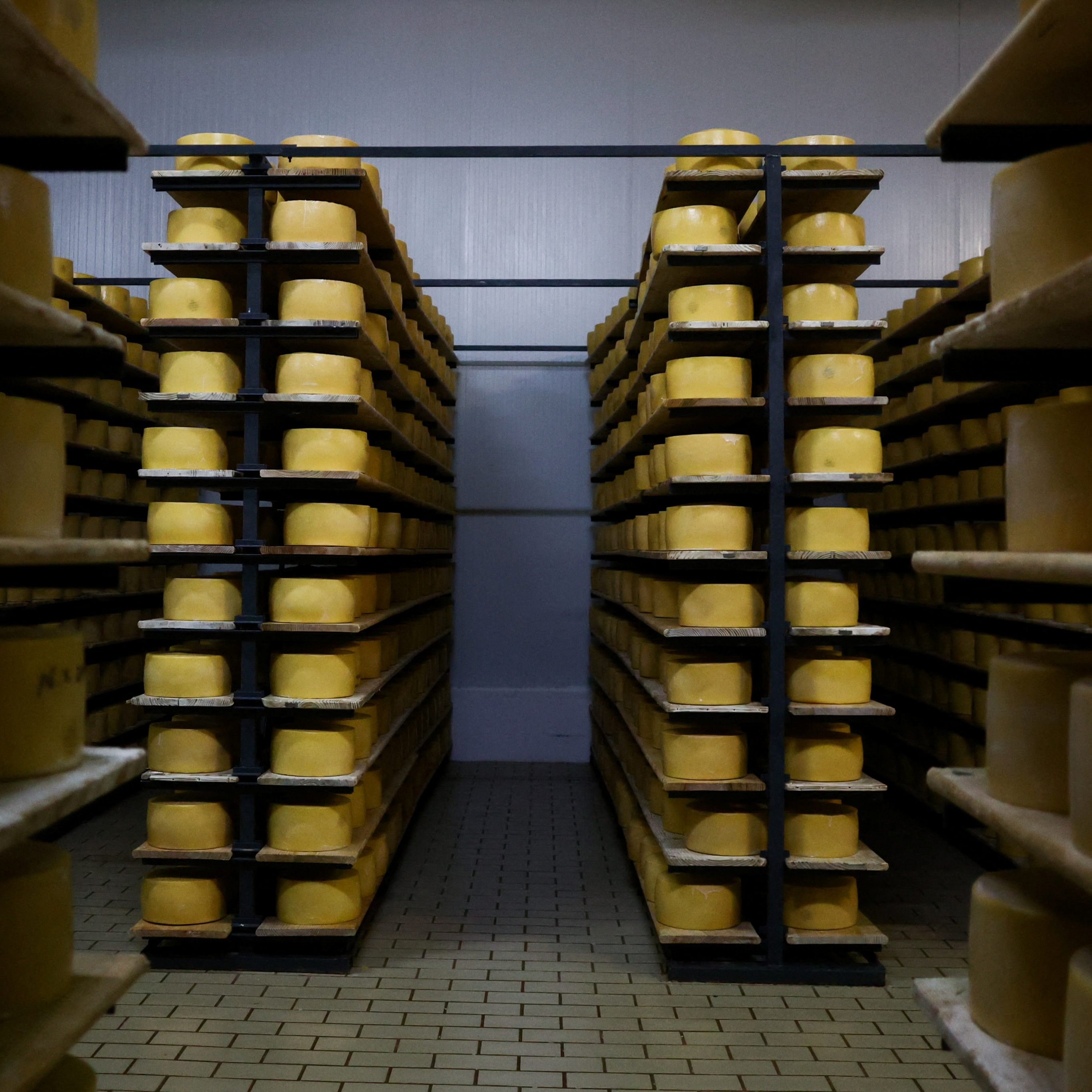 Milchprodukte: Molkereien gehen von Preiserhöhungen aus.