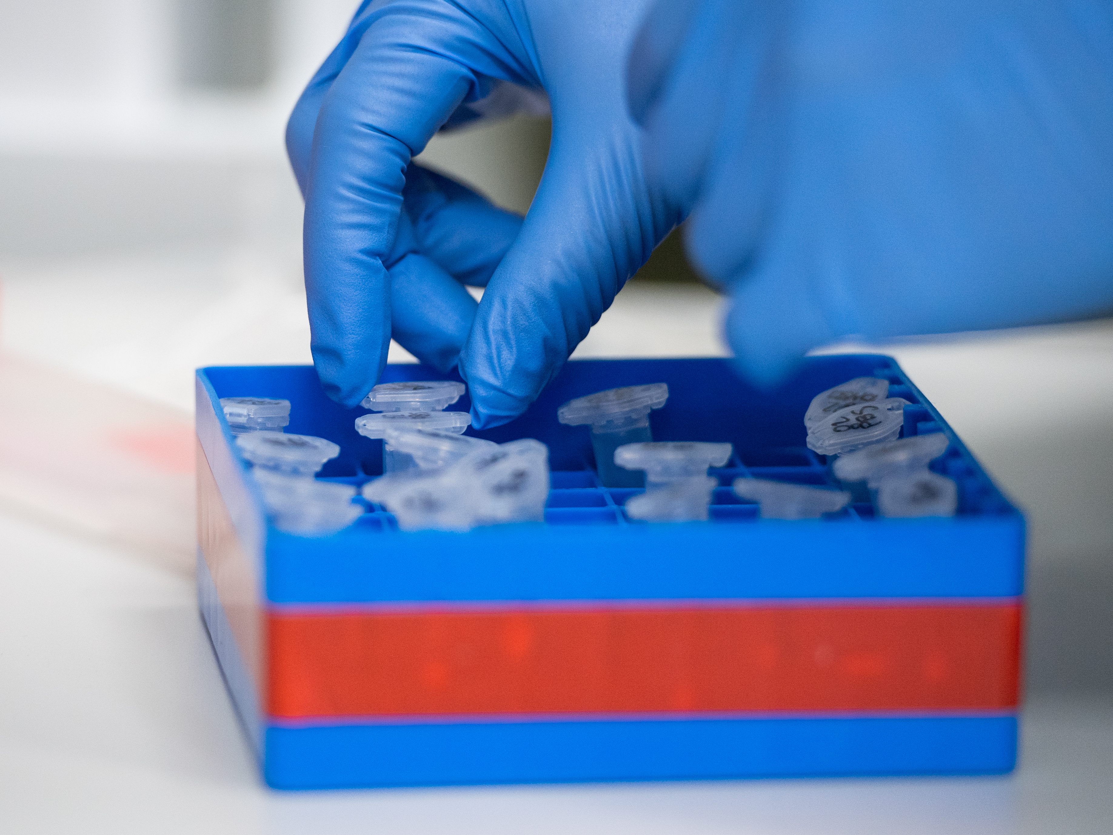 25 Fälle von BA.4/BA.5 in Niederösterreich.