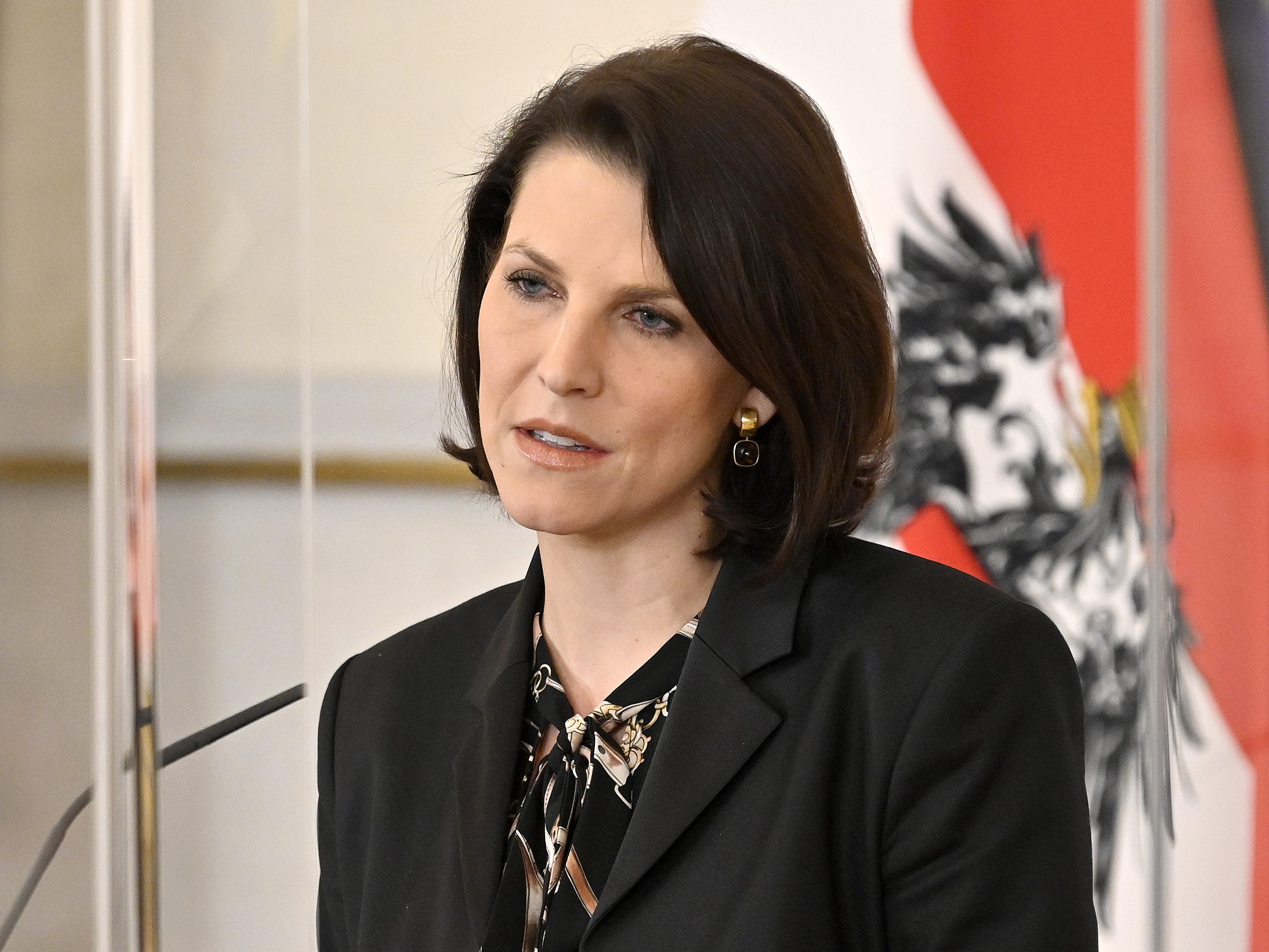Kanzleramtsministerin Karoline Edtstadler (ÖVP) schließt eine Koalition mit der Kickl-FPÖ aus. Kanzleramtsministerin Karoline Edtstadler (ÖVP) schließt eine Koalition mit der Kickl-FPÖ aus.