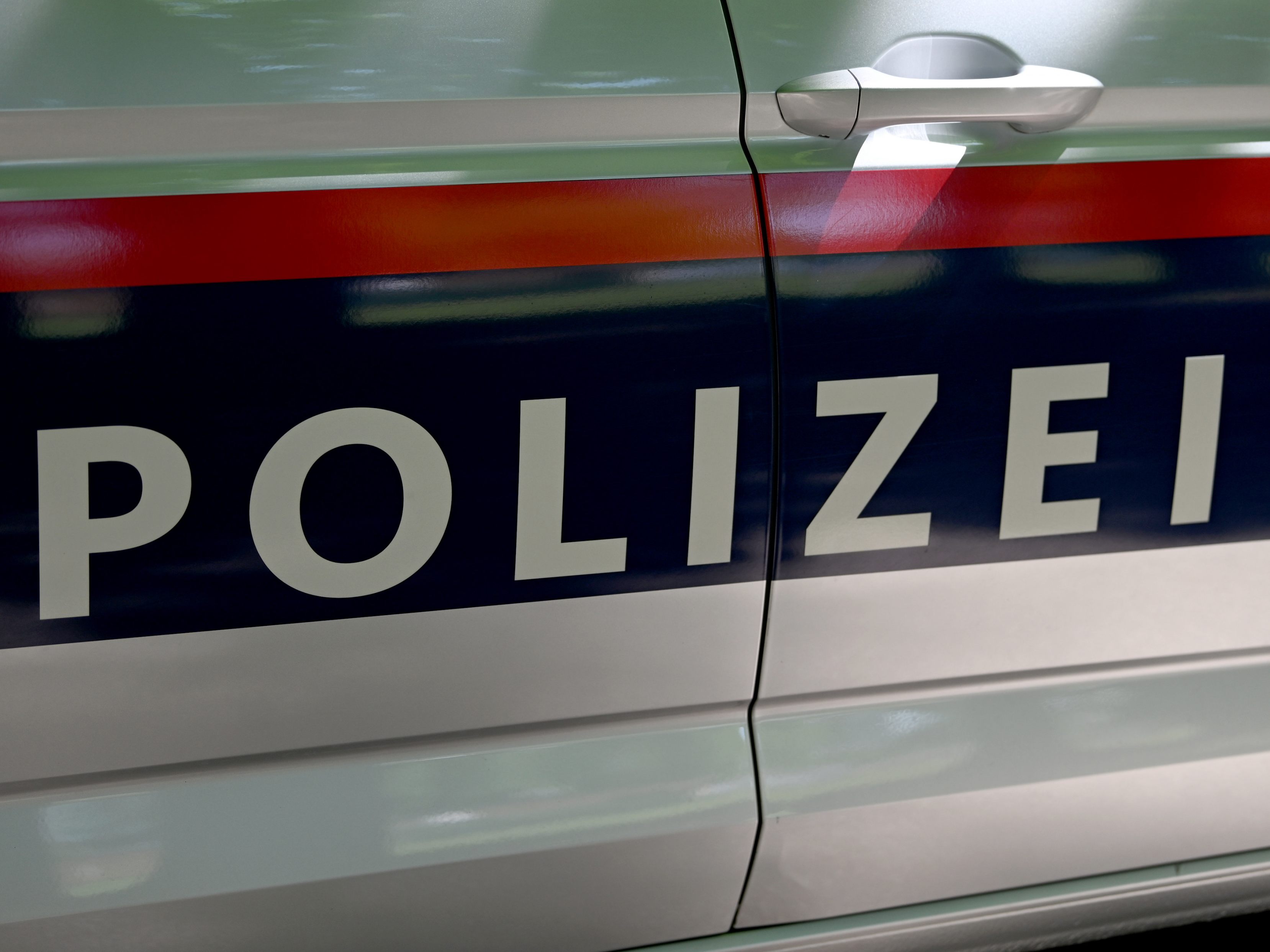 Die Polizei ertappte einen Fahrraddieb in Wien-Favoriten auf frischer Tat.