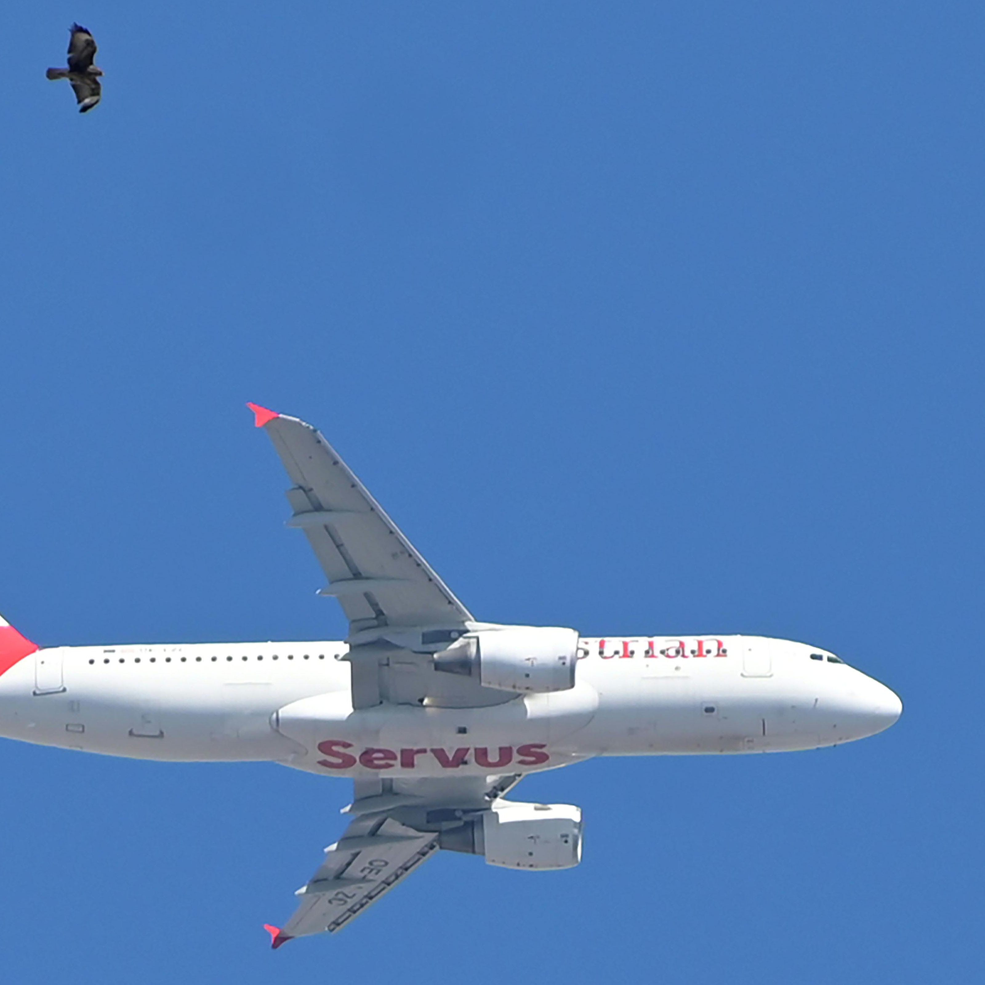 Die Flugzeuge der AUA heben wieder öfters ab. Der Sommer 2022 sei gut gebucht.