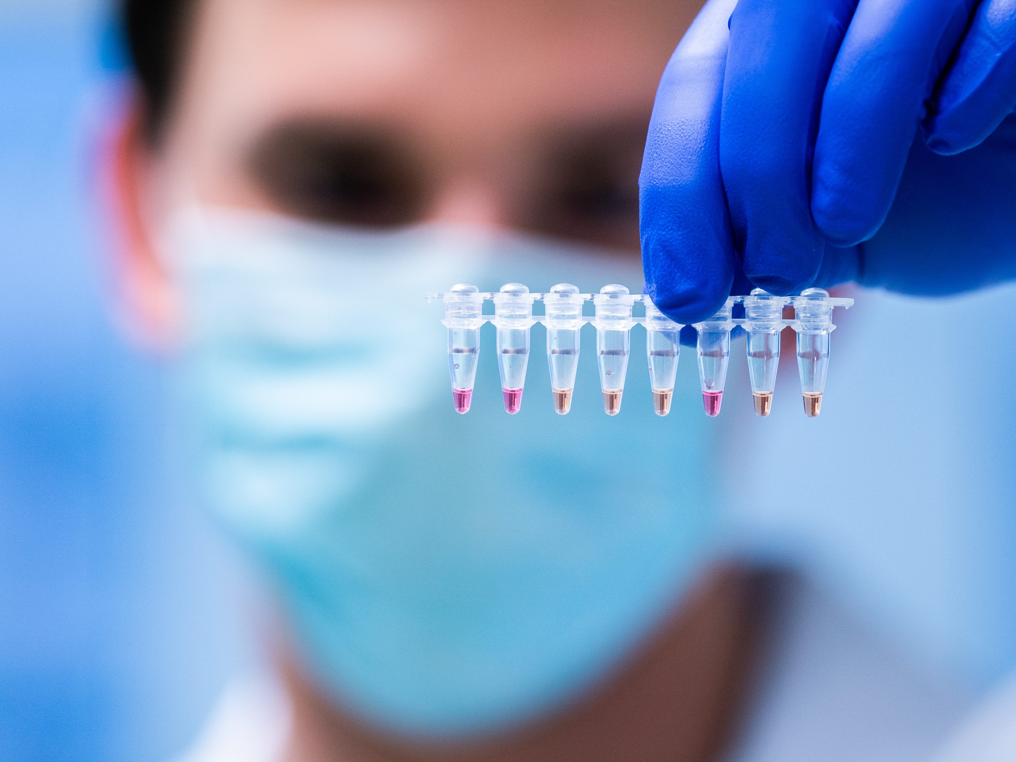 Aktuelle Corona-Zahlen am Dienstag in Österreich.