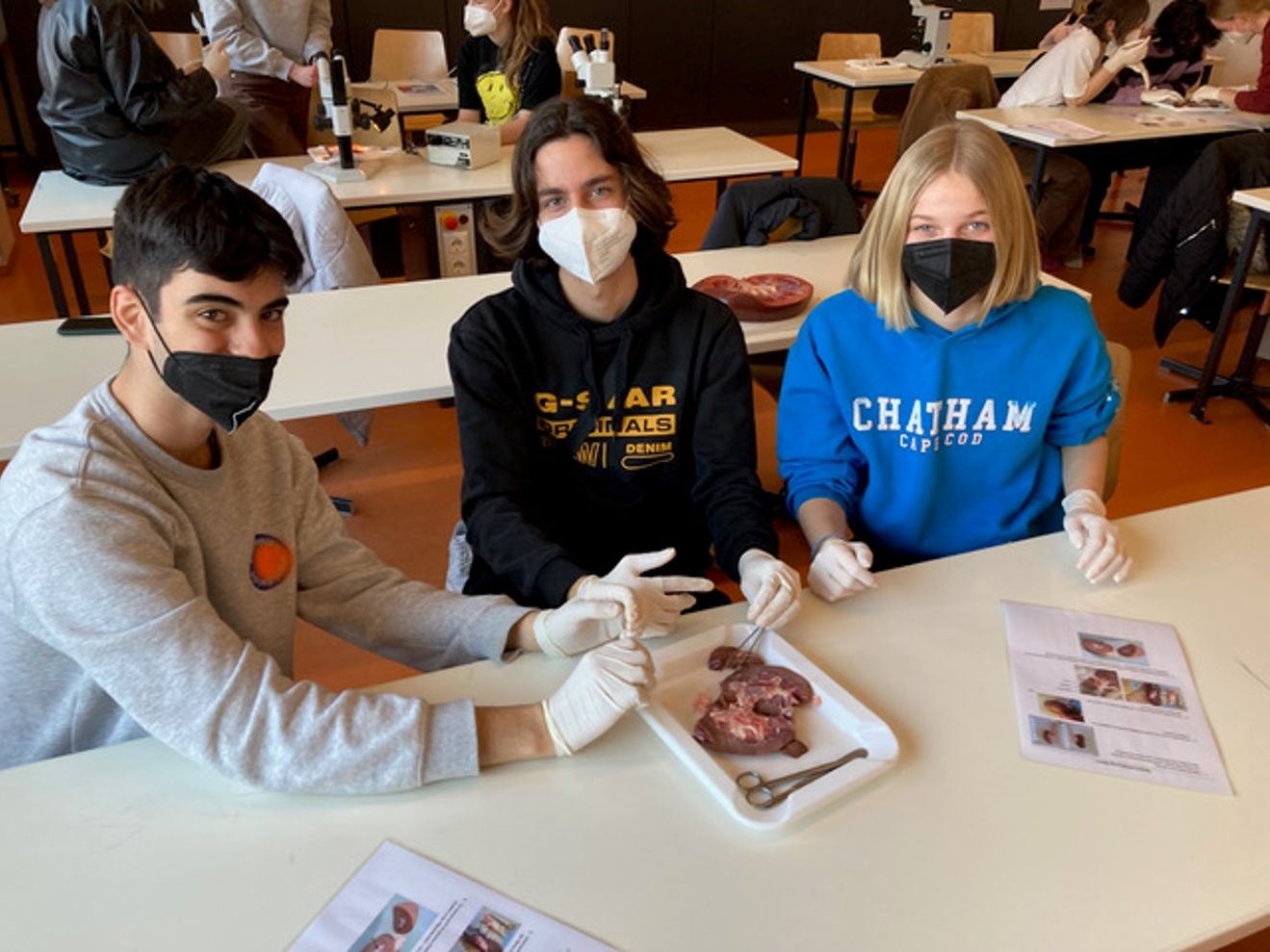 Die Biologie-Challenge findet heuer am 20. Mai statt.