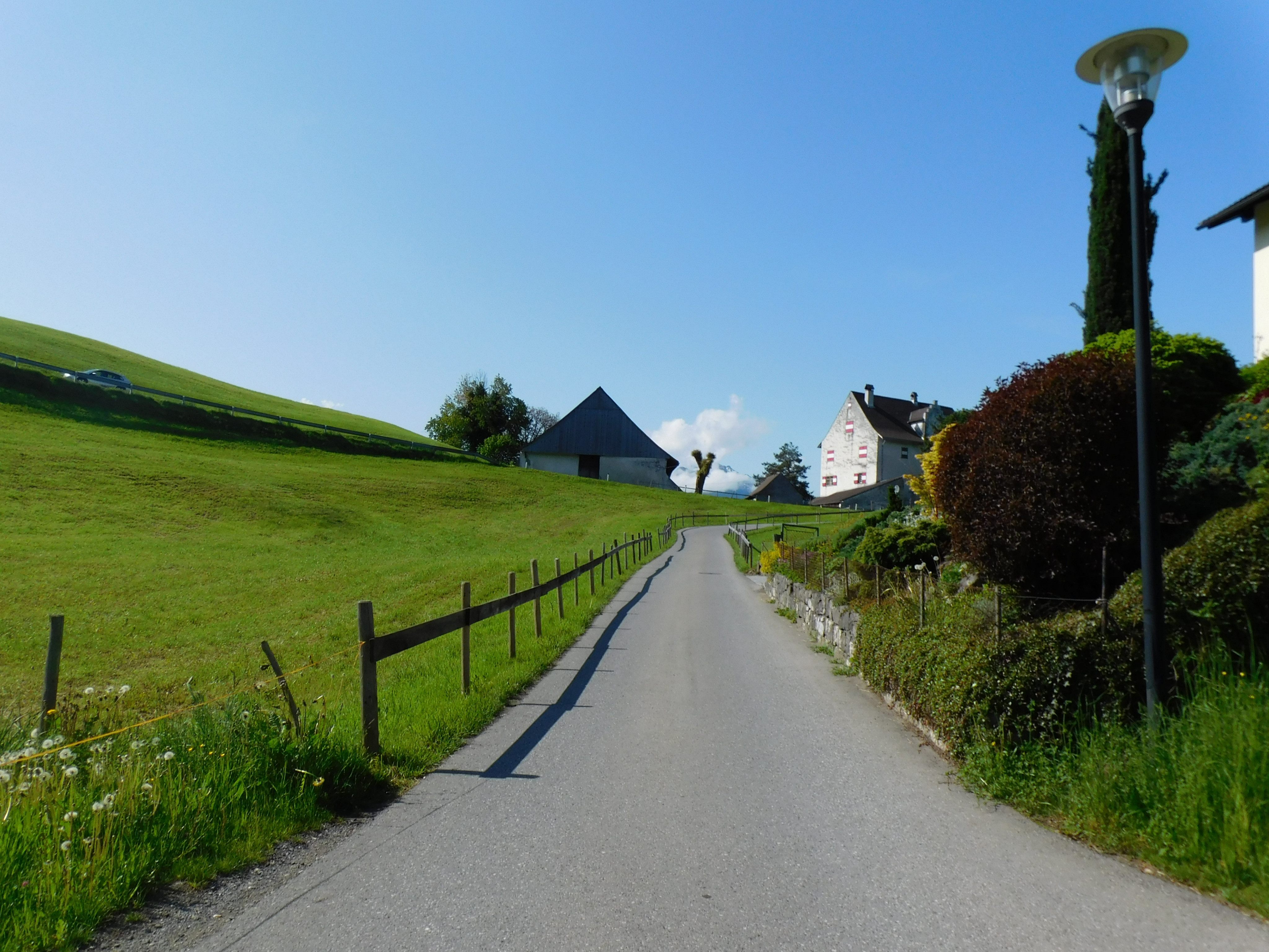 Die Daliebis-Straße soll in diesem Jahr wieder auf Vordermann gebracht werden