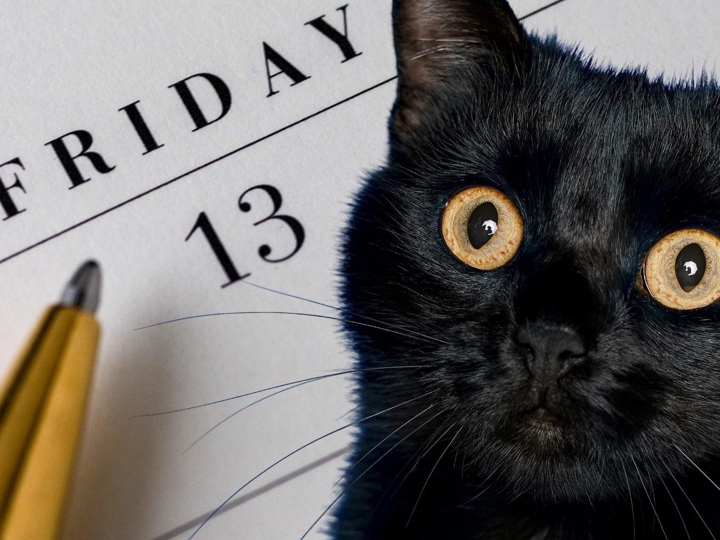 Heute ist Freitag, der 13. Heute ist Freitag, der 13.