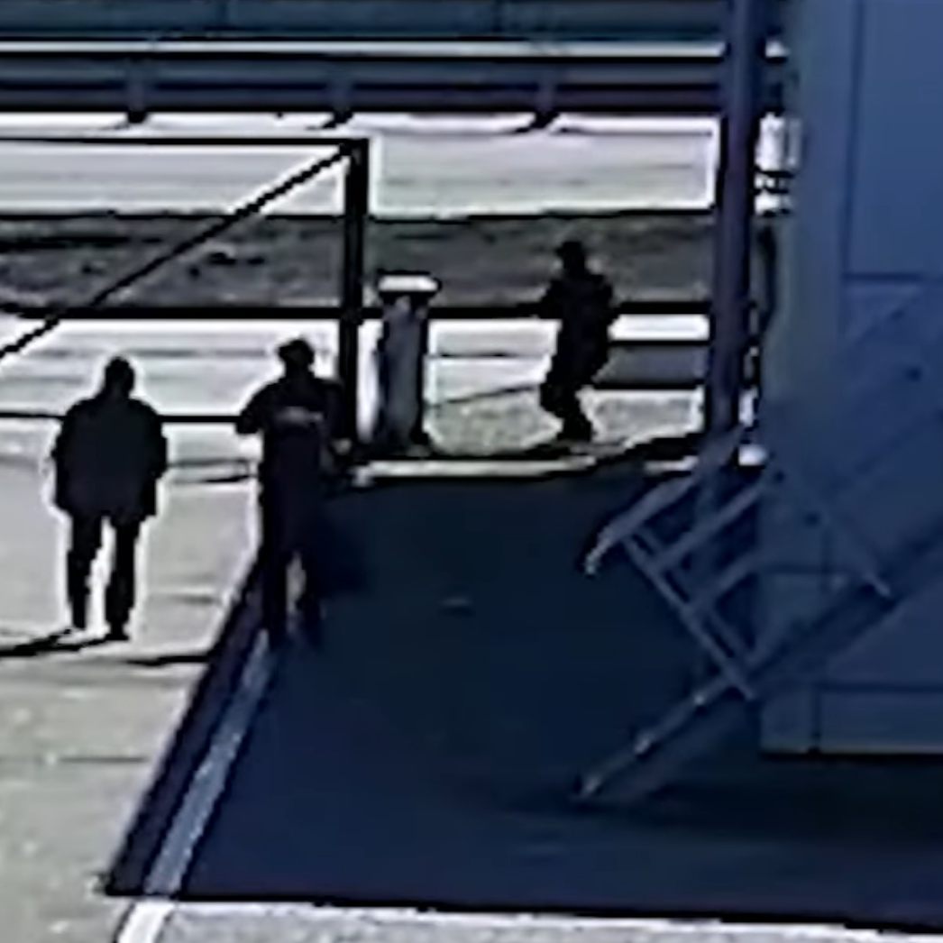 Brutal von hinten erschossen