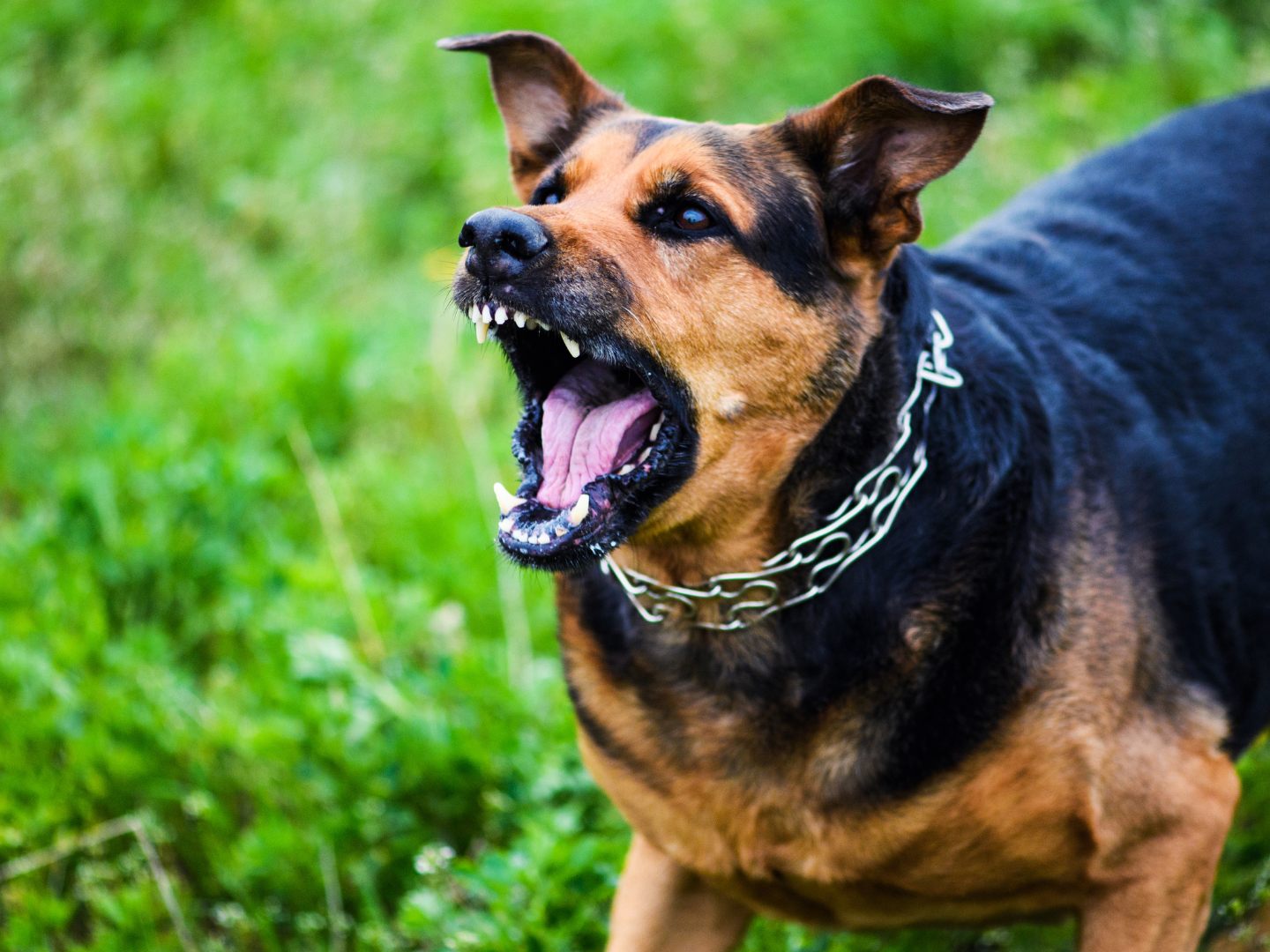 Tragischer Vorfall in England
