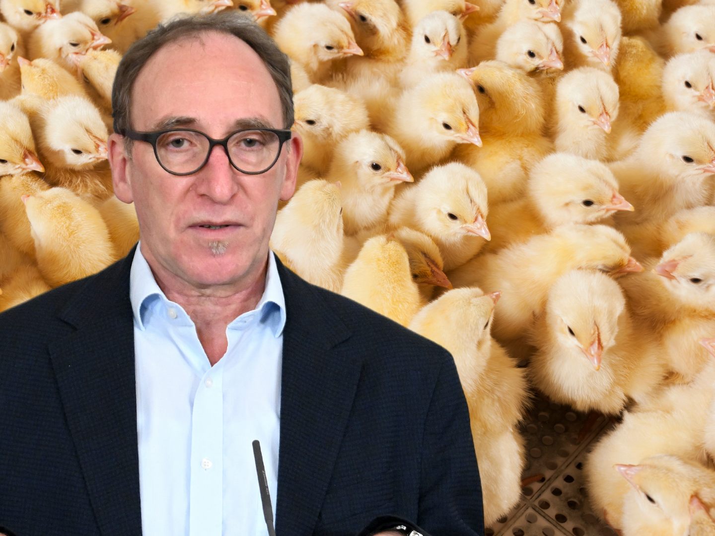 Neues Tierschutzgesetz präsentiert Neues Tierschutzgesetz präsentiert