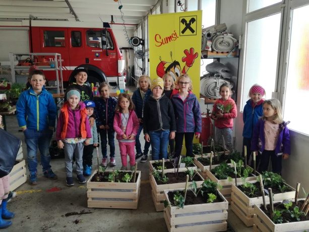 Gemüsegärtnernachwuchs OGV Nüziders