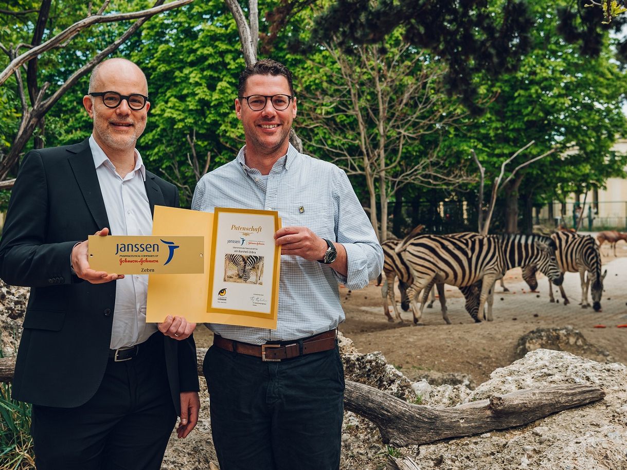 Patenschaft für seltene Zebras: v.l.n.r.: Christoph Slupetzky, Patient Engagement and Advocacy Lead von Janssen Austria, und Stephan Hering-Hagenbeck, Direktor des Tiergarten Schönbrunn